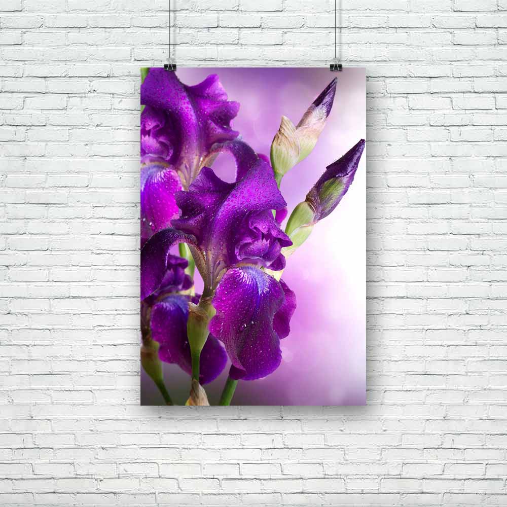 Beautiful Violet Flower Unframed Paper Poster-Paper Posters Unframed-POS_UN-IC 5002386 IC 5002386, Art and Paintings, Black, Black and White, Botanical, Calligraphy, Floral, Flowers, Love, Nature, Romance, Scenic, Signs, Signs and Symbols, Space, Text, White, beautiful, violet, flower, unframed, paper, poster, iris, purple, bouquet, spring, natural, border, fleur, flores, florist, design, art, beauty, bloom, blossom, blue, bokeh, bright, bud, bunch, burgeon, celebration, closeup, color, copy, copyspace, dar