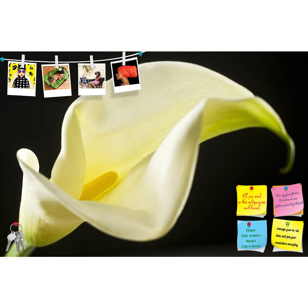 ArtzFolio Flower D2 Printed Bulletin Board Notice Pin Board Soft Board | Frameless-Bulletin Boards Frameless-AZSAO20056430BLB_FL_L-Image Code 5002392 Vishnu Image Folio Pvt Ltd, IC 5002392, ArtzFolio, Bulletin Boards Frameless, Floral, Photography, flower, d2, printed, bulletin, board, notice, pin, soft, frameless, pin up board, push pin board, extra large cork board, big pin board, notice board, small bulletin board, cork board, wall notice board, giant cork board, bulletin board, office notice board, offi