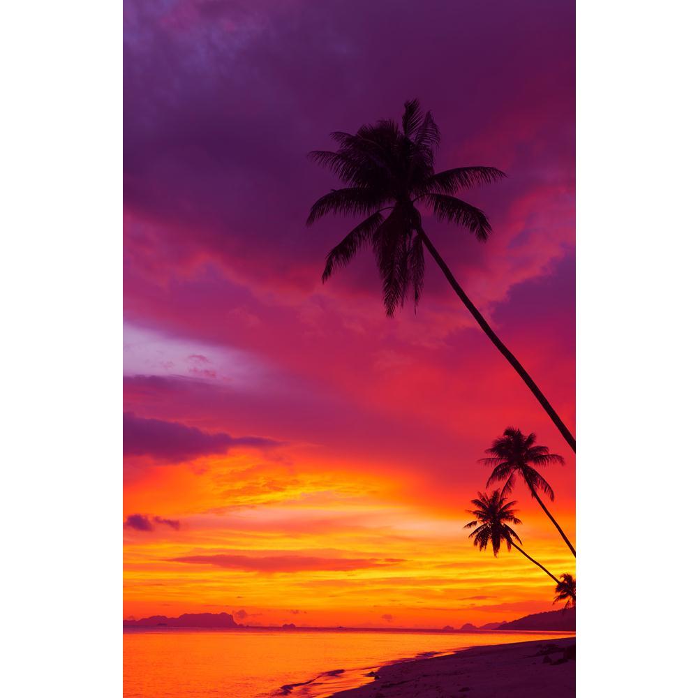 Sunset Over The Ocean With Tropical Palm Trees Canvas Painting Synthetic Frame-Paintings MDF Framing-AFF_FR-IC 5002395 IC 5002395, Asian, Automobiles, God Ram, Hinduism, Landscapes, Panorama, Scenic, Sunsets, Transportation, Travel, Tropical, Vehicles, sunset, over, the, ocean, with, palm, trees, canvas, painting, synthetic, frame, beach, island, asia, beautiful, bounty, cloud, coast, coconut, colorful, dusk, evening, exotic, horizon, lagoon, landscape, orange, pano, panoramic, paradise, pink, recreation, r