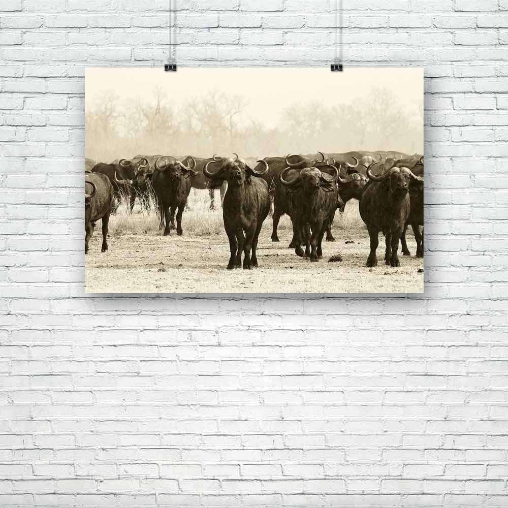 African Buffalo Herd Unframed Paper Poster - Paper Posters Unframed - ArtzFolio.com