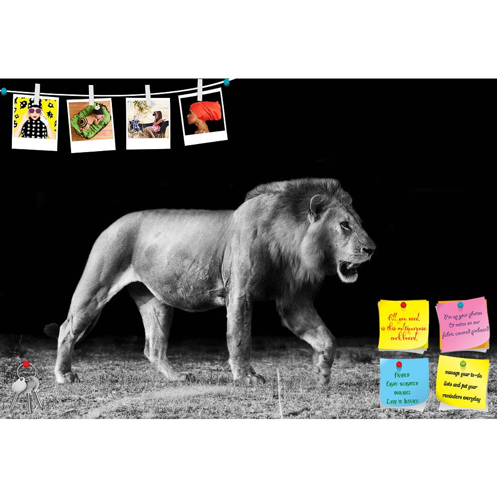 ArtzFolio Lion D2 Printed Bulletin Board Notice Pin Board Soft Board | Frameless-Bulletin Boards Frameless-AZSAO20215703BLB_FL_L-Image Code 5002418 Vishnu Image Folio Pvt Ltd, IC 5002418, ArtzFolio, Bulletin Boards Frameless, Animals, Photography, lion, d2, printed, bulletin, board, notice, pin, soft, frameless, pin up board, push pin board, extra large cork board, big pin board, notice board, small bulletin board, cork board, wall notice board, giant cork board, bulletin board, office notice board, office 