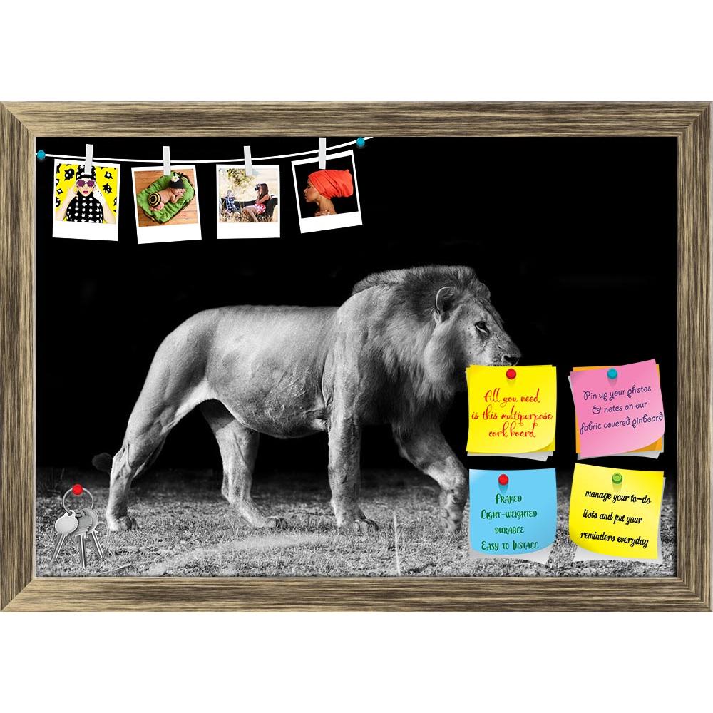 ArtzFolio Lion D2 Printed Bulletin Board Notice Pin Board Soft Board | Framed-Bulletin Boards Framed-AZSAO20215703BLB_FR_L-Image Code 5002418 Vishnu Image Folio Pvt Ltd, IC 5002418, ArtzFolio, Bulletin Boards Framed, Animals, Photography, lion, d2, printed, bulletin, board, notice, pin, soft, framed, pin up board, push pin board, extra large cork board, big pin board, notice board, small bulletin board, cork board, wall notice board, giant cork board, bulletin board, office notice board, office cork board, 