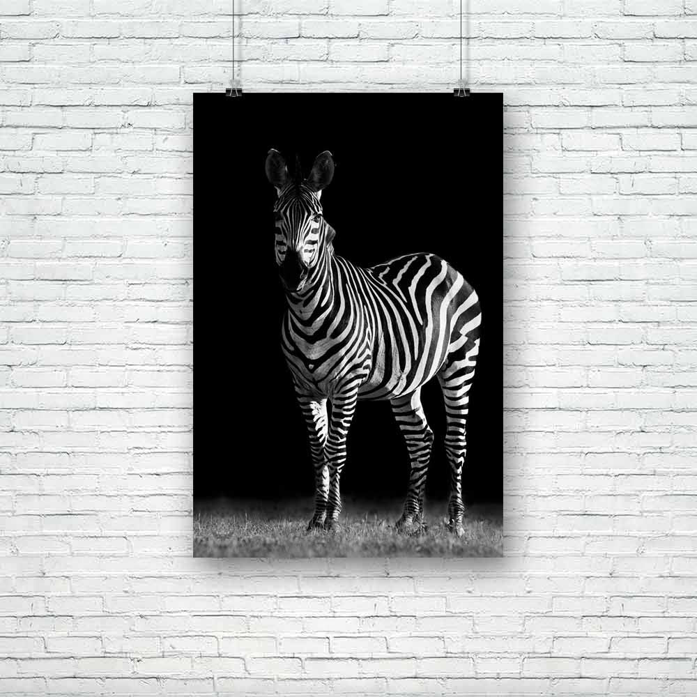 Zebra D1 Unframed Paper Poster-Paper Posters Unframed-POS_UN-IC 5002419 IC 5002419, African, Animals, Black and White, Nature, Pets, Scenic, White, Wildlife, zebra, d1, unframed, paper, poster, africa, animal, and, in, the, wild, beauty, black, horse, isolated, objects, looking, mammal, monochrome, safari, standing, striped, background, artzfolio, posters, wall posters, posters for room, posters for room decoration, office poster, door poster, baby poster, motivational posters, posters for room boys, quotes
