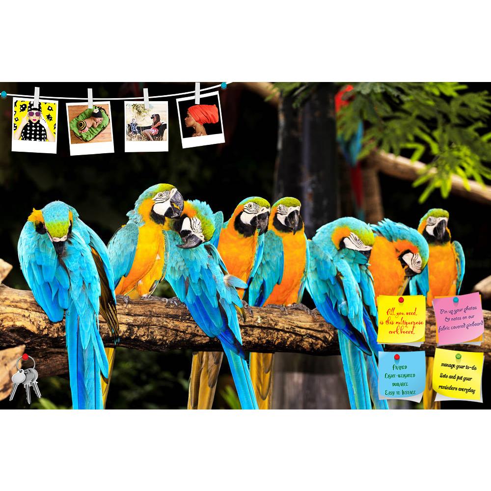 ArtzFolio Macaw Birds Printed Bulletin Board Notice Pin Board Soft Board | Frameless-Bulletin Boards Frameless-AZSAO20276633BLB_FL_L-Image Code 5002430 Vishnu Image Folio Pvt Ltd, IC 5002430, ArtzFolio, Bulletin Boards Frameless, Birds, Photography, macaw, printed, bulletin, board, notice, pin, soft, frameless, pin up board, push pin board, extra large cork board, big pin board, notice board, small bulletin board, cork board, wall notice board, giant cork board, bulletin board, office notice board, office c