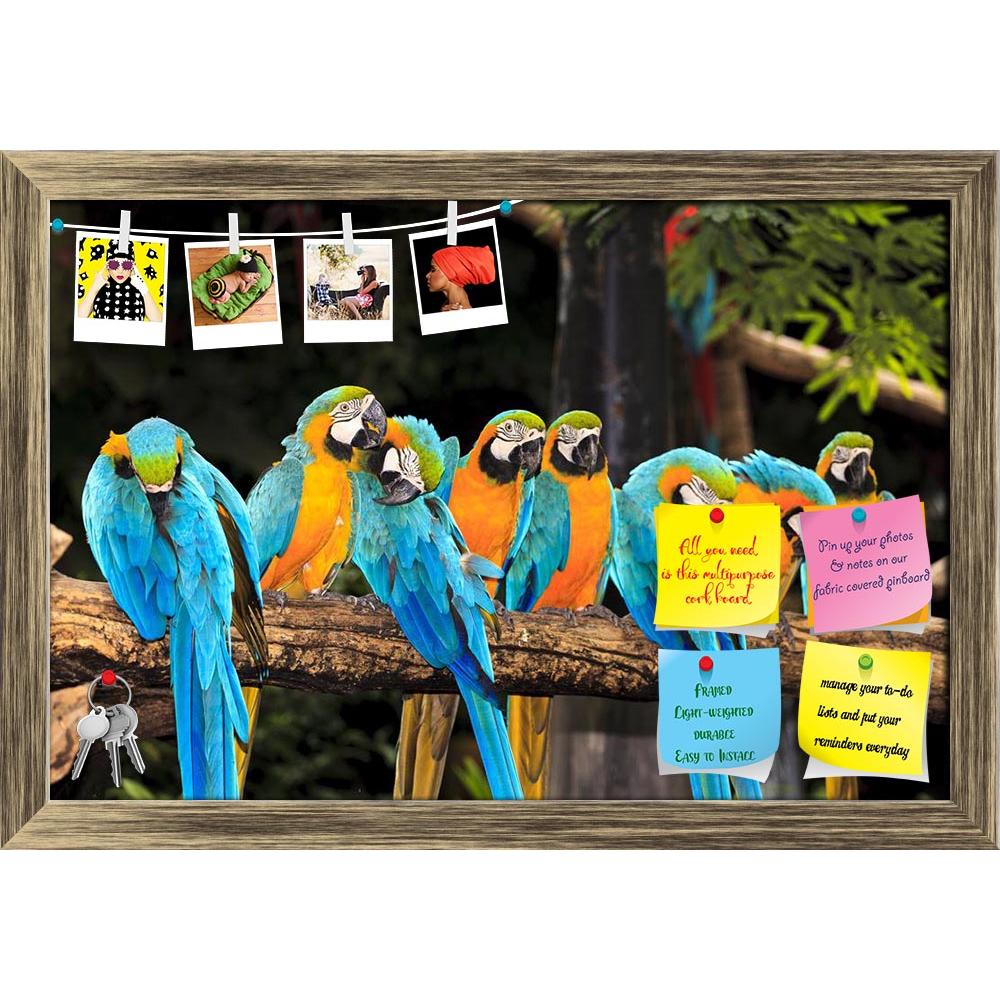 ArtzFolio Macaw Birds Printed Bulletin Board Notice Pin Board Soft Board | Framed-Bulletin Boards Framed-AZSAO20276633BLB_FR_L-Image Code 5002430 Vishnu Image Folio Pvt Ltd, IC 5002430, ArtzFolio, Bulletin Boards Framed, Birds, Photography, macaw, printed, bulletin, board, notice, pin, soft, framed, pin up board, push pin board, extra large cork board, big pin board, notice board, small bulletin board, cork board, wall notice board, giant cork board, bulletin board, office notice board, office cork board, g
