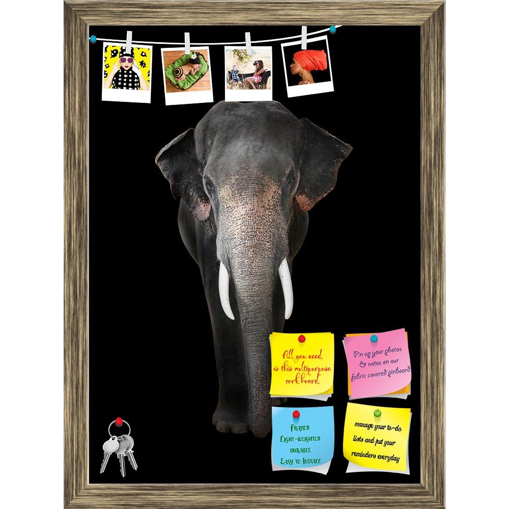 ArtzFolio Elephant D6 Printed Bulletin Board Notice Pin Board Soft Board | Framed-Bulletin Boards Framed-AZSAO20443527BLB_FR_L-Image Code 5002462 Vishnu Image Folio Pvt Ltd, IC 5002462, ArtzFolio, Bulletin Boards Framed, Animals, Photography, elephant, d6, printed, bulletin, board, notice, pin, soft, framed, dark, background, pin up board, push pin board, extra large cork board, big pin board, notice board, small bulletin board, cork board, wall notice board, giant cork board, bulletin board, office notice 