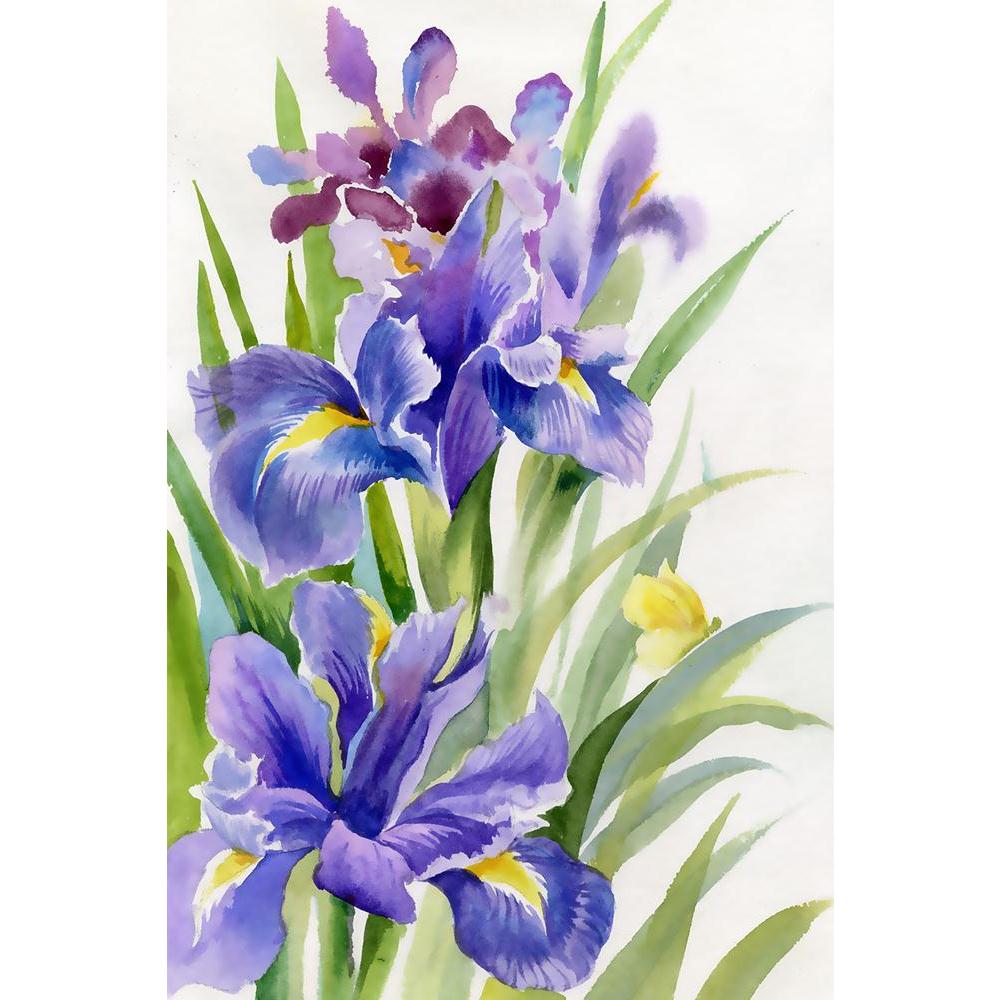 ArtzFolio Flower Collection Irises Unframed Paper Poster-Paper Posters Unframed-AZART20528023POS_UN_L-Image Code 5002474 Vishnu Image Folio Pvt Ltd, IC 5002474, ArtzFolio, Paper Posters Unframed, Floral, Fine Art Reprint, flower, collection, irises, unframed, paper, poster, wall, large, size, for, living, room, home, decoration, big, framed, decor, posters, pitaara, box, modern, art, with, frame, bedroom, amazonbasics, door, drawing, small, decorative, office, reception, multiple, friends, images, reprints,