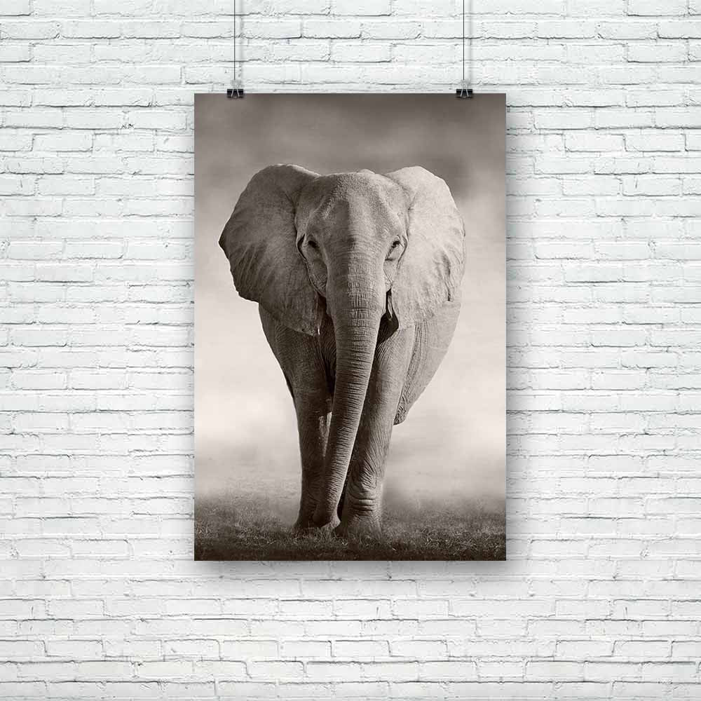Wild African Elephant D1 Unframed Paper Poster-Paper Posters Unframed-POS_UN-IC 5002516 IC 5002516, African, Animals, Automobiles, Cross, Nature, Plain, Scenic, Sports, Transportation, Travel, Vehicles, Wildlife, wild, elephant, d1, unframed, paper, poster, africa, animal, big, bush, conservation, drink, ears, ecology, endangered, game, grey, herbivore, huge, ivory, large, loxodonta, mammal, pachyderm, park, refreshing, reserve, safari, small, south, strong, tourism, tourist, trunk, tusks, water, waterhole,
