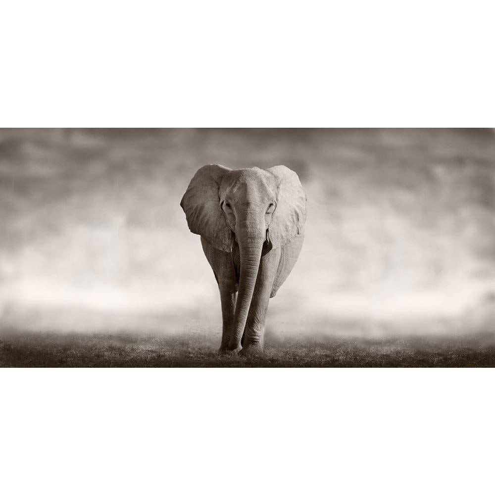 Wild African Elephant Canvas Painting Synthetic Frame-Paintings MDF Framing-AFF_FR-IC 5002516 IC 5002516, African, Animals, Automobiles, Cross, Nature, Plain, Scenic, Sports, Transportation, Travel, Vehicles, Wildlife, wild, elephant, canvas, painting, synthetic, frame, africa, animal, big, bush, conservation, drink, ears, ecology, endangered, game, grey, herbivore, huge, ivory, large, loxodonta, mammal, pachyderm, park, refreshing, reserve, safari, small, south, strong, tourism, tourist, trunk, tusks, wate