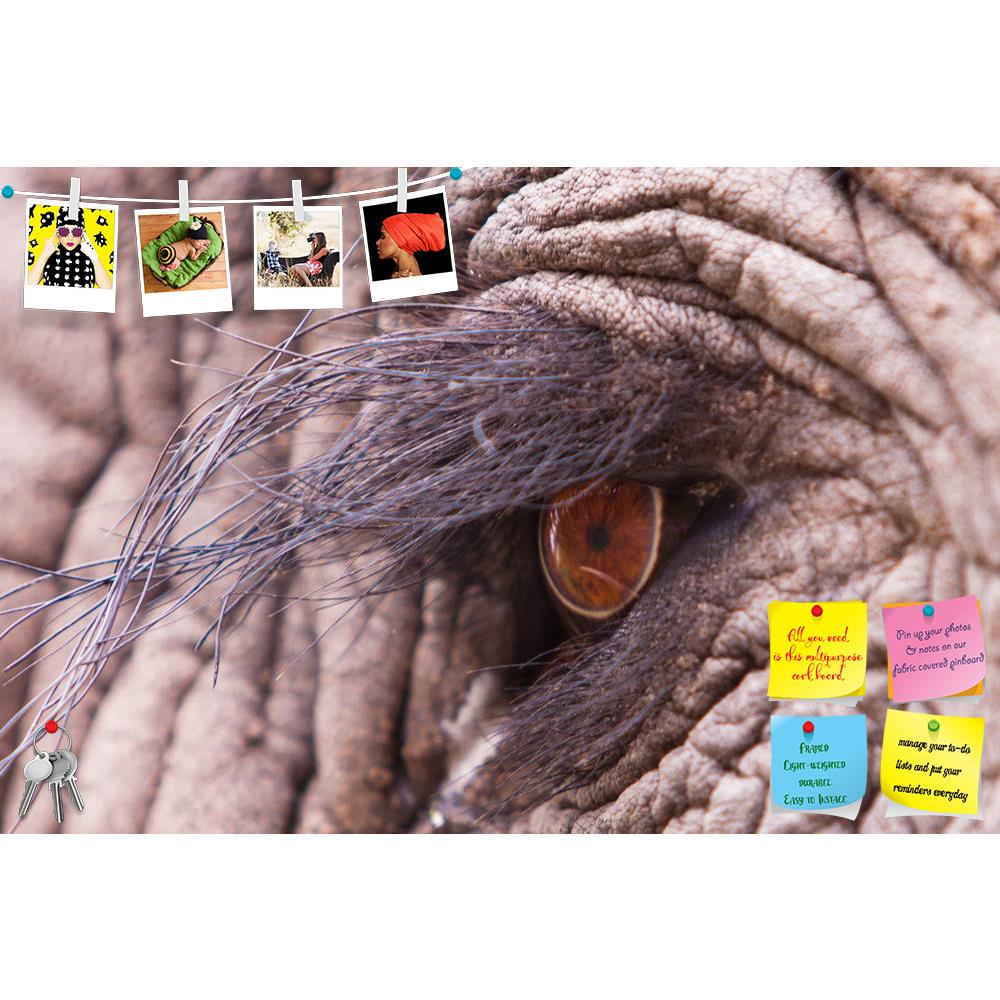 ArtzFolio Elephant Eye D2 Printed Bulletin Board Notice Pin Board Soft Board | Frameless-Bulletin Boards Frameless-AZSAO20857427BLB_FL_L-Image Code 5002526 Vishnu Image Folio Pvt Ltd, IC 5002526, ArtzFolio, Bulletin Boards Frameless, Animals, Photography, elephant, eye, d2, printed, bulletin, board, notice, pin, soft, frameless, close, macro, shot, pin up board, push pin board, extra large cork board, big pin board, notice board, small bulletin board, cork board, wall notice board, giant cork board, bulleti
