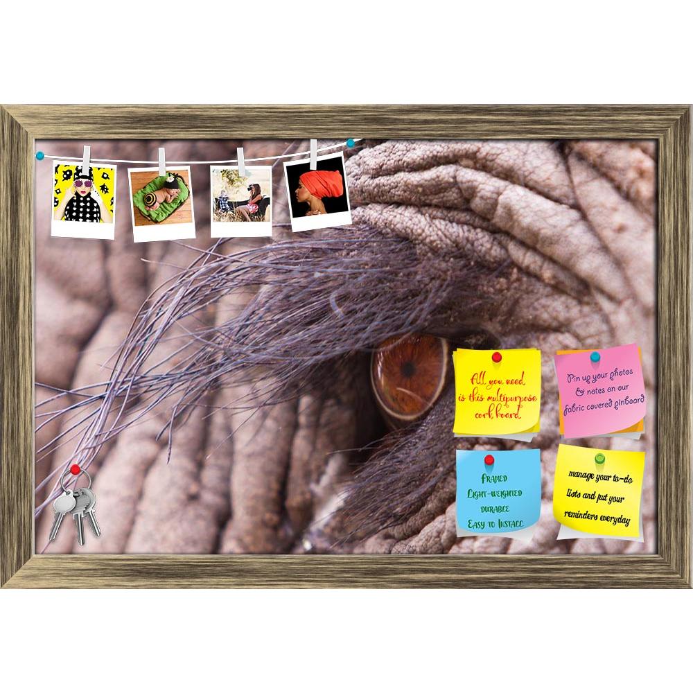 ArtzFolio Elephant Eye D2 Printed Bulletin Board Notice Pin Board Soft Board | Framed-Bulletin Boards Framed-AZSAO20857427BLB_FR_L-Image Code 5002526 Vishnu Image Folio Pvt Ltd, IC 5002526, ArtzFolio, Bulletin Boards Framed, Animals, Photography, elephant, eye, d2, printed, bulletin, board, notice, pin, soft, framed, close, macro, shot, pin up board, push pin board, extra large cork board, big pin board, notice board, small bulletin board, cork board, wall notice board, giant cork board, bulletin board, off