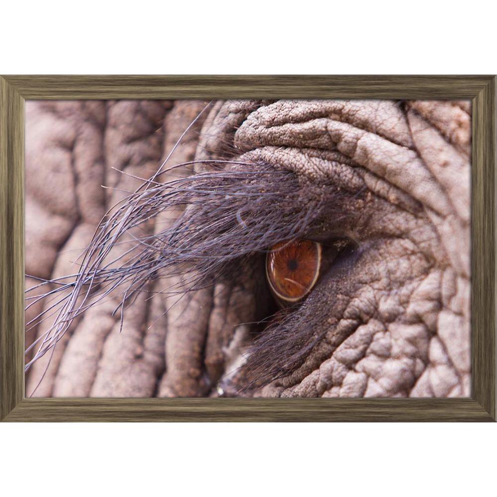 ArtzFolio Elephant Eye D2 Paper Poster Frame | Top Acrylic Glass-Paper Posters Framed-AZART20857427POS_FR_L-Image Code 5002526 Vishnu Image Folio Pvt Ltd, IC 5002526, ArtzFolio, Paper Posters Framed, Animals, Photography, elephant, eye, d2, paper, poster, frame, top, acrylic, glass, close, macro, shot, wall poster large size, wall poster for living room, poster for home decoration, paper poster, big size room poster, framed wall poster for living room, home decor posters, pitaara box, modern art poster, fra