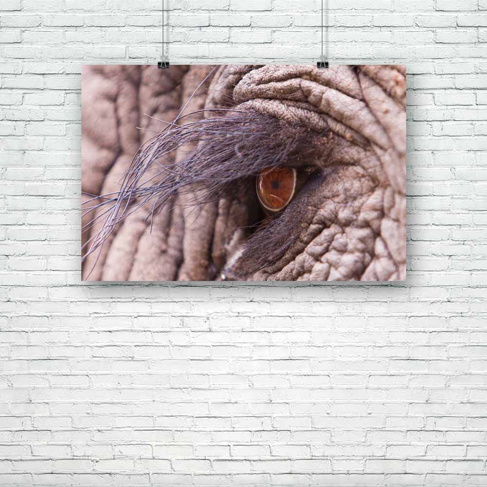 Elephant Eye D2 Unframed Paper Poster-Paper Posters Unframed-POS_UN-IC 5002526 IC 5002526, African, Animals, Automobiles, Nature, Scenic, Sports, Transportation, Travel, Vehicles, Wildlife, elephant, eye, d2, unframed, paper, poster, africa, animal, big, bush, close, up, conservation, ecology, endangered, game, grey, herbivore, huge, ivory, large, loxodonta, macro, mammal, pachyderm, park, reserve, safari, small, south, strong, tourism, tourist, wild, zambia, artzfolio, posters, wall posters, posters for ro