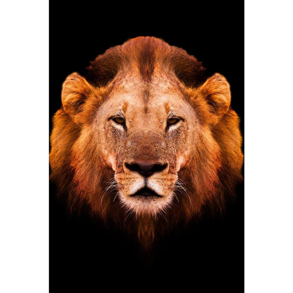 African Male Lion Unframed Paper Poster-Paper Posters Unframed-POS_UN-IC 5002527 IC 5002527, African, Animals, Art and Paintings, Black, Black and White, Individuals, Portraits, White, Wildlife, male, lion, unframed, paper, wall, poster, africa, aggression, animal, art, artistic, cat, gazelle, head, mammal, monochrome, nobody, one, predator, safari, single, wild, artzfolio, posters, wall posters, posters for room, posters for room decoration, office poster, door poster, baby poster, motivational posters, po