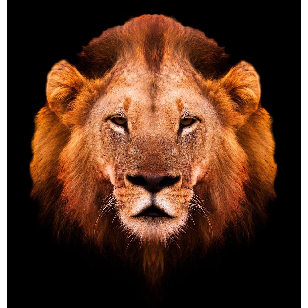 Portrait Of An African Male Lion Canvas Painting Synthetic Frame-Paintings MDF Framing-AFF_FR-IC 5002527 IC 5002527, African, Animals, Art and Paintings, Black, Black and White, Individuals, Portraits, White, Wildlife, portrait, of, an, male, lion, canvas, painting, synthetic, frame, africa, aggression, animal, art, artistic, cat, gazelle, head, mammal, monochrome, nobody, one, predator, safari, single, wild, artzfolio, wall decor for living room, wall frames for living room, frames for living room, wall ar