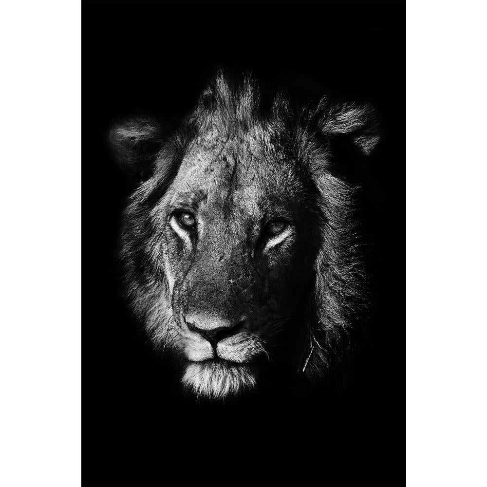 ArtzFolio Portrait Of A Lion Unframed Paper Poster-Paper Posters Unframed-AZART20857828POS_UN_L-Image Code 5002528 Vishnu Image Folio Pvt Ltd, IC 5002528, ArtzFolio, Paper Posters Unframed, Animals, Photography, portrait, of, a, lion, unframed, paper, poster, wall, large, size, for, living, room, home, decoration, big, framed, decor, posters, pitaara, box, modern, art, with, frame, bedroom, amazonbasics, door, drawing, small, decorative, office, reception, multiple, friends, images, reprints, reprint, kids,