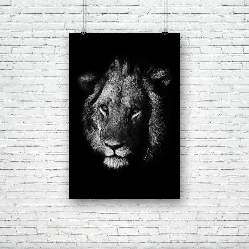 Lion D4 Unframed Paper Poster-Paper Posters Unframed-POS_UN-IC 5002528 IC 5002528, African, Animals, Black, Black and White, Individuals, Nature, Portraits, Scenic, White, Wildlife, lion, d4, unframed, paper, poster, africa, animal, big, five, carnivore, cat, dangerous, east, endangered, environment, feline, hunter, king, leader, lioness, majestic, mammal, national, park, natural, outdoors, predator, reserve, safari, savanna, wild, wilderness, zambia, artzfolio, posters, wall posters, posters for room, post