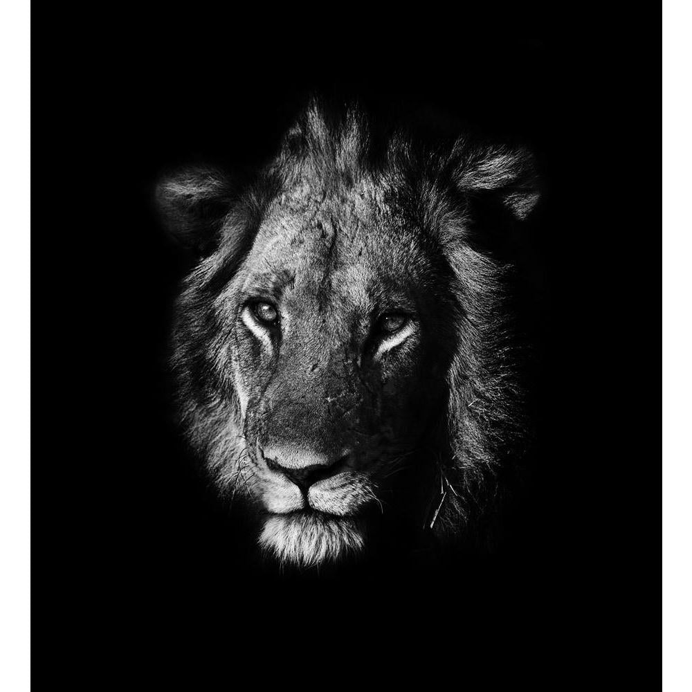 Portrait Of A Lion Canvas Painting Synthetic Frame-Paintings MDF Framing-AFF_FR-IC 5002528 IC 5002528, African, Animals, Black, Black and White, Individuals, Nature, Portraits, Scenic, White, Wildlife, portrait, of, a, lion, canvas, painting, synthetic, frame, africa, animal, big, five, carnivore, cat, dangerous, east, endangered, environment, feline, hunter, king, leader, lioness, majestic, mammal, national, park, natural, outdoors, predator, reserve, safari, savanna, wild, wilderness, zambia, artzfolio, w