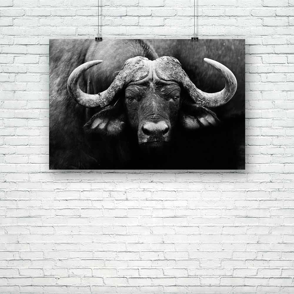 African Cape Buffalo Unframed Paper Poster-Paper Posters Unframed-POS_UN-IC 5002529 IC 5002529, African, Animals, Black, Black and White, Nature, Scenic, Sports, White, Wildlife, cape, buffalo, unframed, paper, poster, africa, animal, and, conservation, facing, game, herd, large, looking, mammal, monochrome, national, park, reserve, safari, savanna, vacation, wild, zambia, artzfolio, posters, wall posters, posters for room, posters for room decoration, office poster, door poster, baby poster, motivational p