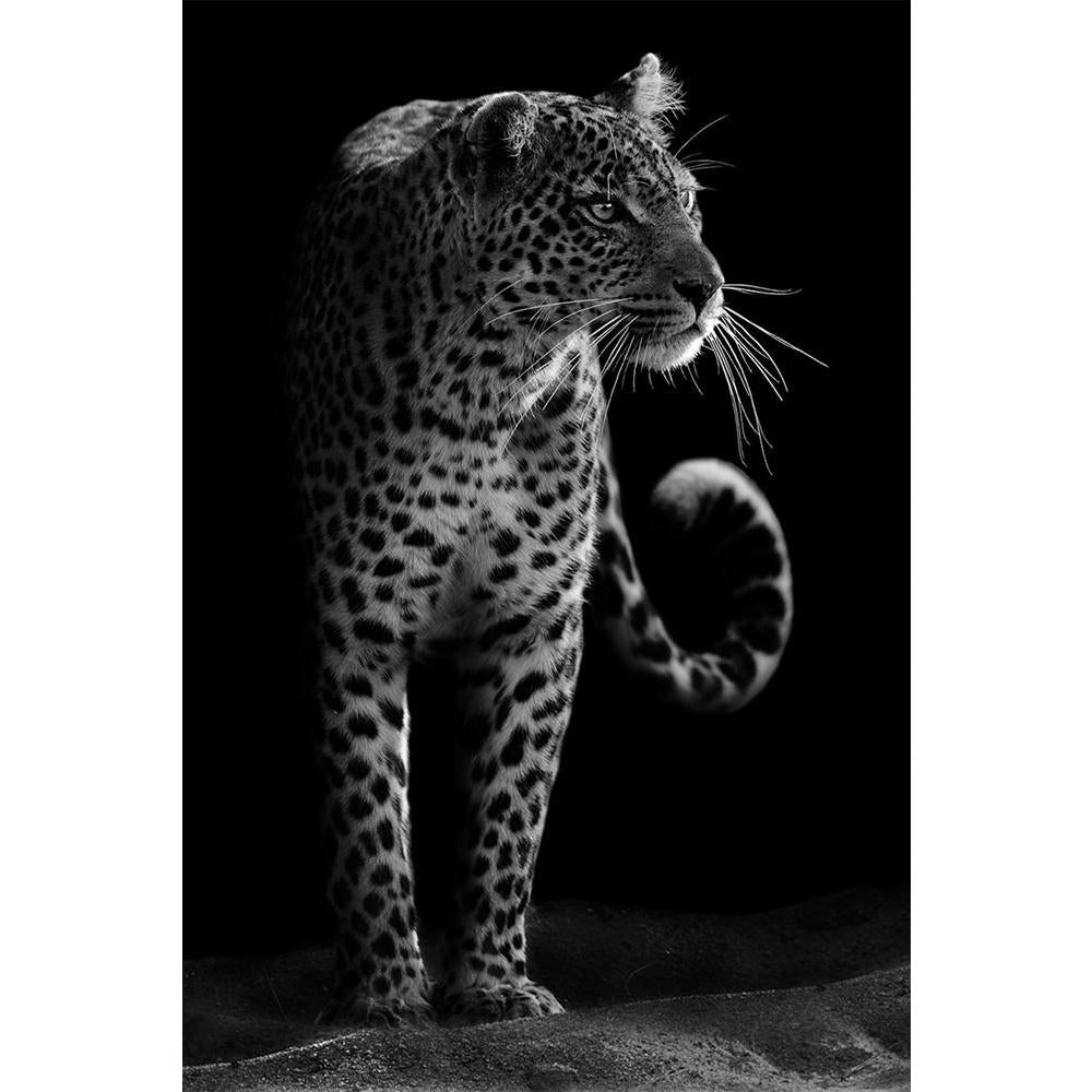 ArtzFolio Leopard D2 Unframed Paper Poster-Paper Posters Unframed-AZART20857884POS_UN_L-Image Code 5002530 Vishnu Image Folio Pvt Ltd, IC 5002530, ArtzFolio, Paper Posters Unframed, Animals, Photography, leopard, d2, unframed, paper, poster, wall, large, size, for, living, room, home, decoration, big, framed, decor, posters, pitaara, box, modern, art, with, frame, bedroom, amazonbasics, door, drawing, small, decorative, office, reception, multiple, friends, images, reprints, reprint, kids, bathroom, designe