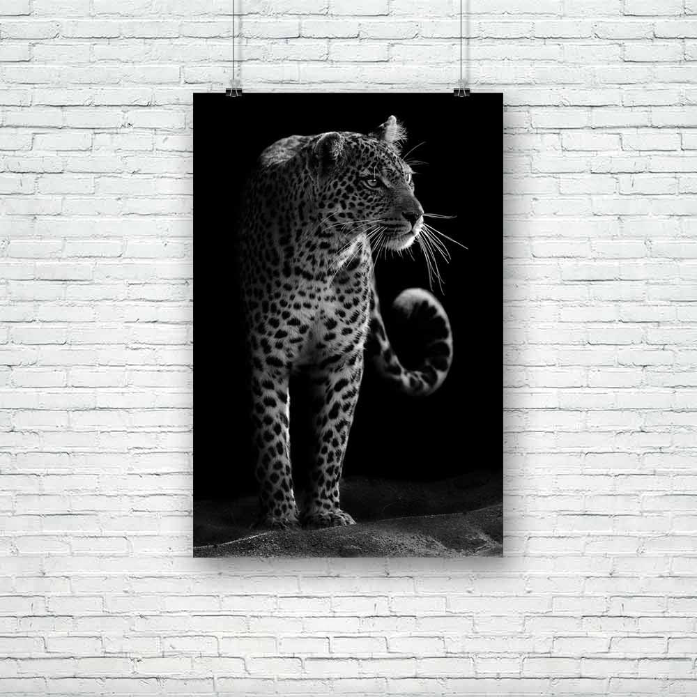 Leopard D2 Unframed Paper Poster-Paper Posters Unframed-POS_UN-IC 5002530 IC 5002530, African, Animals, Black, Black and White, Individuals, Nature, Portraits, Scenic, White, Wildlife, leopard, d2, unframed, paper, poster, and, jungle, africa, angry, animal, attentive, beast, big, carnivore, cat, close, closeup, danger, dangerous, environment, eye, face, fast, feline, fur, furry, hunter, looking, mammal, monochrome, nobody, outdoors, park, portrait, powerful, predator, safari, spot, stare, tooth, whiskers, 