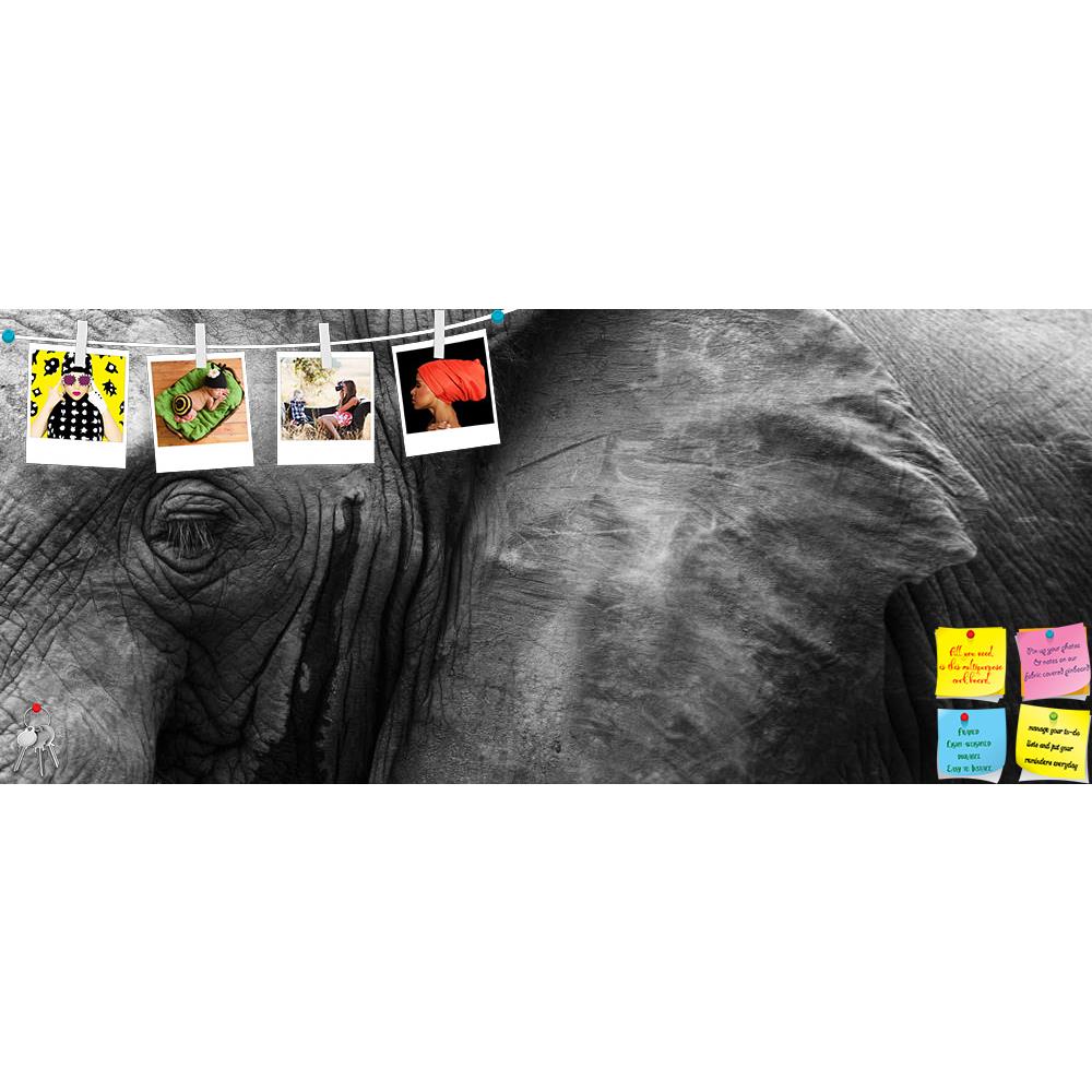 ArtzFolio African Elephant Eye & Ear Printed Bulletin Board Notice Pin Board Soft Board | Frameless-Bulletin Boards Frameless-AZSAO20978909BLB_FL_L-Image Code 5002548 Vishnu Image Folio Pvt Ltd, IC 5002548, ArtzFolio, Bulletin Boards Frameless, Animals, Photography, african, elephant, eye, ear, printed, bulletin, board, notice, pin, soft, frameless, close, detail, pin up board, push pin board, extra large cork board, big pin board, notice board, small bulletin board, cork board, wall notice board, giant cor