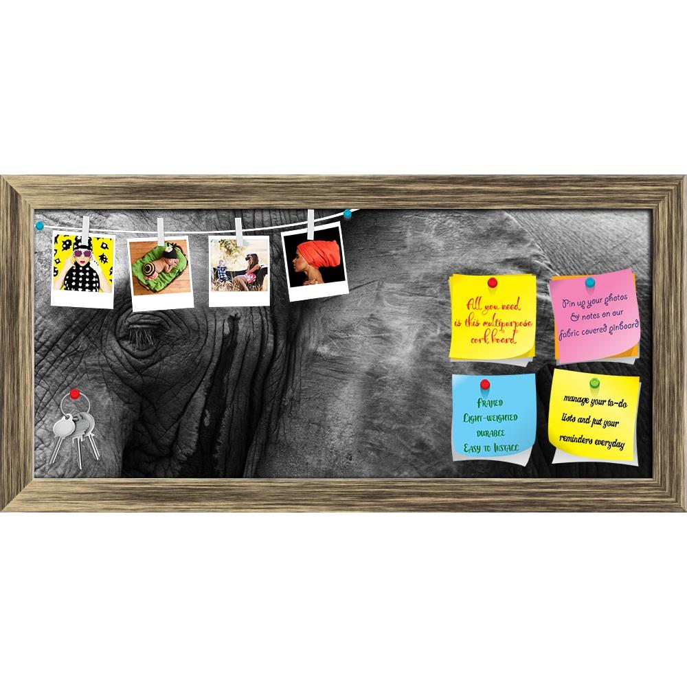 ArtzFolio African Elephant Eye & Ear Printed Bulletin Board Notice Pin Board Soft Board | Framed-Bulletin Boards Framed-AZSAO20978909BLB_FR_L-Image Code 5002548 Vishnu Image Folio Pvt Ltd, IC 5002548, ArtzFolio, Bulletin Boards Framed, Animals, Photography, african, elephant, eye, ear, printed, bulletin, board, notice, pin, soft, framed, close, detail, pin up board, push pin board, extra large cork board, big pin board, notice board, small bulletin board, cork board, wall notice board, giant cork board, bul