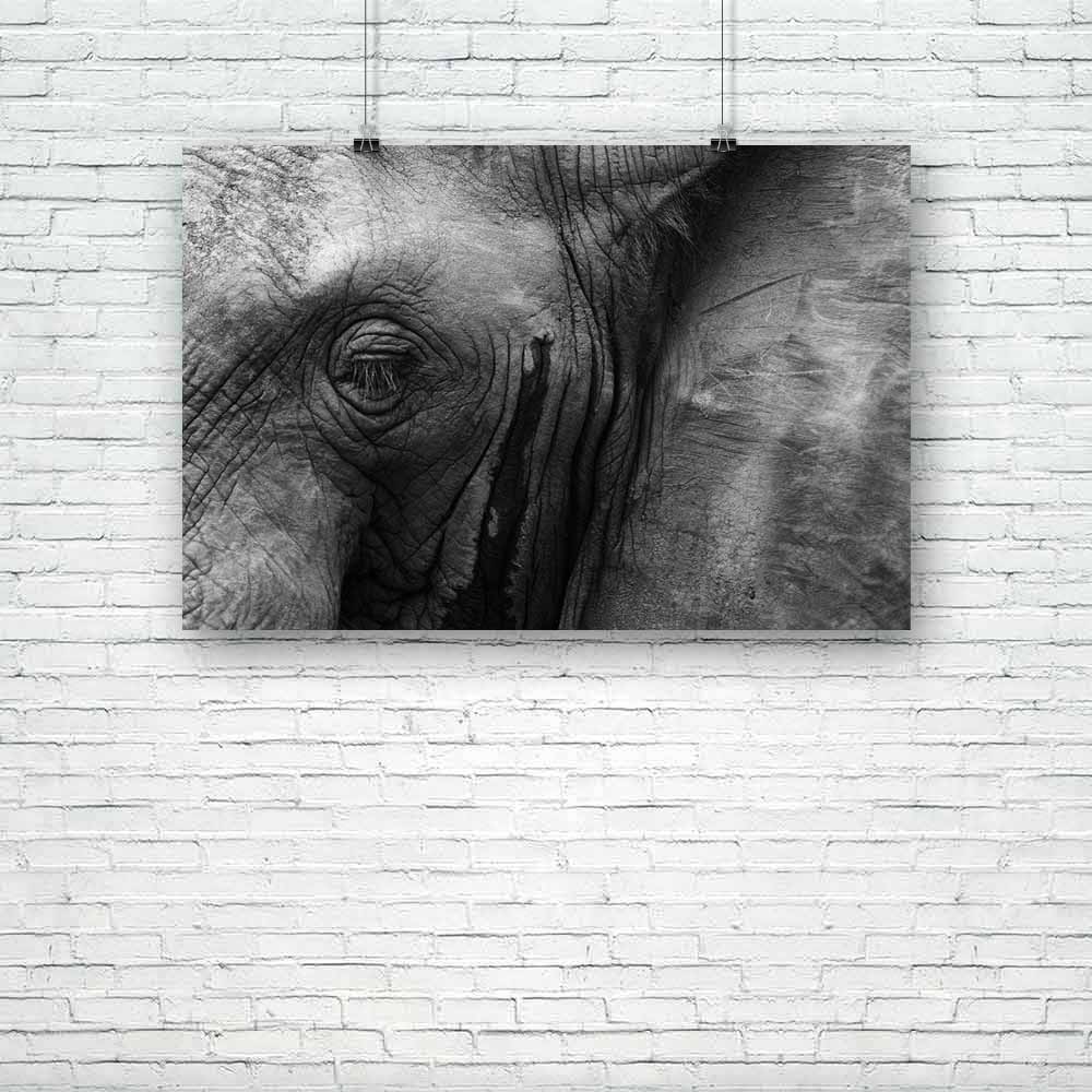 African Elephant Eye & Ear Unframed Paper Poster - Paper Posters Unframed - ArtzFolio.com