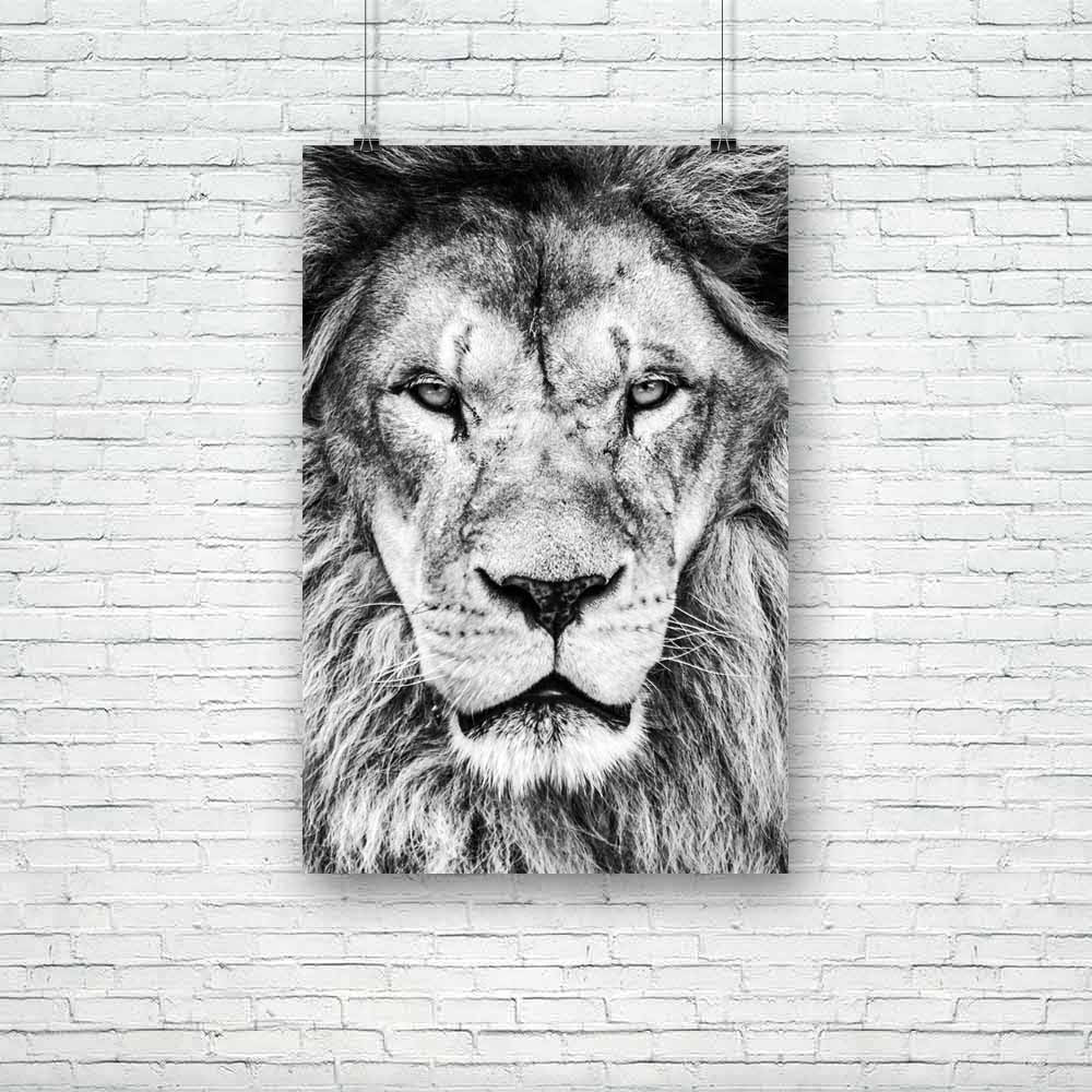 African Lion Unframed Paper Poster - Paper Posters Unframed - ArtzFolio.com