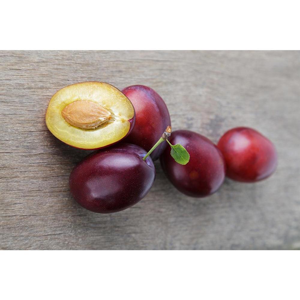 ArtzFolio Photo of Ripe Plums With Leaves Unframed Paper Poster-Paper Posters Unframed-AZART21226262POS_UN_L-Image Code 5002619 Vishnu Image Folio Pvt Ltd, IC 5002619, ArtzFolio, Paper Posters Unframed, Food & Beverage, Photography, photo, of, ripe, plums, with, leaves, unframed, paper, poster, wall, large, size, for, living, room, home, decoration, big, framed, decor, posters, pitaara, box, modern, art, frame, bedroom, amazonbasics, door, drawing, small, decorative, office, reception, multiple, friends, im
