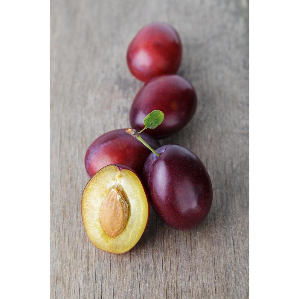 Photo of Ripe Plums With Leaves Canvas Painting Synthetic Frame-Paintings MDF Framing-AFF_FR-IC 5002619 IC 5002619, Cross, Cuisine, Food, Food and Beverage, Food and Drink, Fruit and Vegetable, Fruits, Nature, Scenic, Wooden, photo, of, ripe, plums, with, leaves, canvas, painting, synthetic, frame, berry, closeup, color, cut, delicious, dessert, fresh, freshness, fruit, green, group, half, healthy, juicy, leaf, objects, old, organic, plum, prune, pulp, purple, raw, red, stem, sweet, table, three, vegetarian