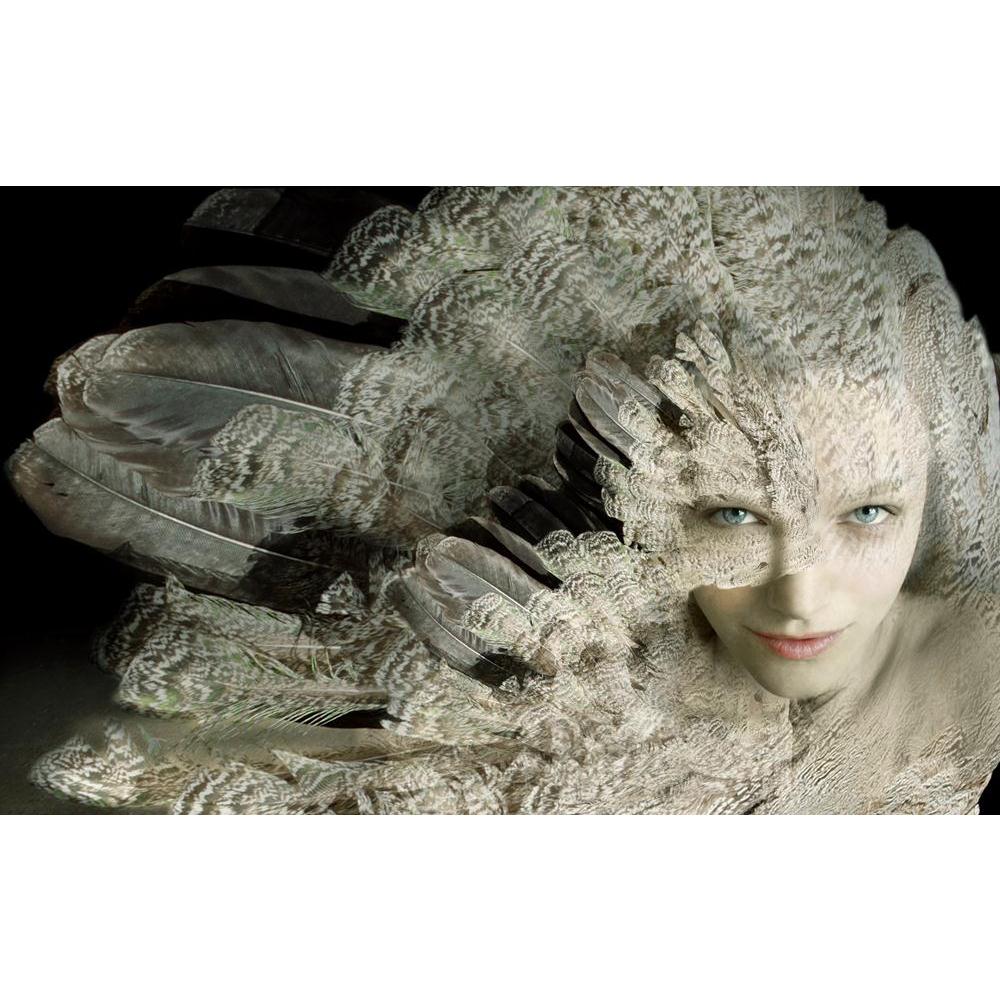 Portrait Of A Girl With Plumage Canvas Painting Synthetic Frame-Paintings MDF Framing-AFF_FR-IC 5002641 IC 5002641, Art and Paintings, Asian, Birds, Conceptual, Fantasy, Fashion, Individuals, Nature, Portraits, Realism, Scenic, Surrealism, portrait, of, a, girl, with, plumage, canvas, painting, synthetic, frame, metamorphosis, art, artistic, beautiful, beauty, bird, camouflage, caucasian, close, up, concept, creativity, detail, expression, eye, feathers, female, horizontal, inventive, look, surreal, surreal