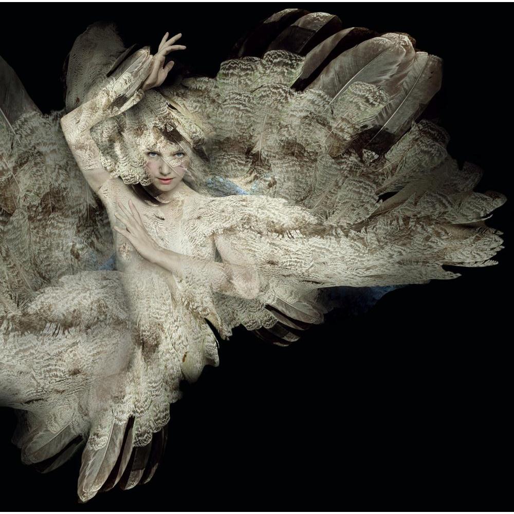 Portrait Of A Girl With Plumage Canvas Painting Synthetic Frame-Paintings MDF Framing-AFF_FR-IC 5002655 IC 5002655, Art and Paintings, Asian, Black, Black and White, Fantasy, Fashion, Individuals, Portraits, Realism, Surrealism, portrait, of, a, girl, with, plumage, canvas, painting, synthetic, frame, arms, art, artistic, beautiful, bizarre, body, camouflage, caucasian, creation, creativity, detail, expressive, eye, hand, head, intense, make, up, mysterious, oblique, pictorial, poetic, surreal, surrealistic