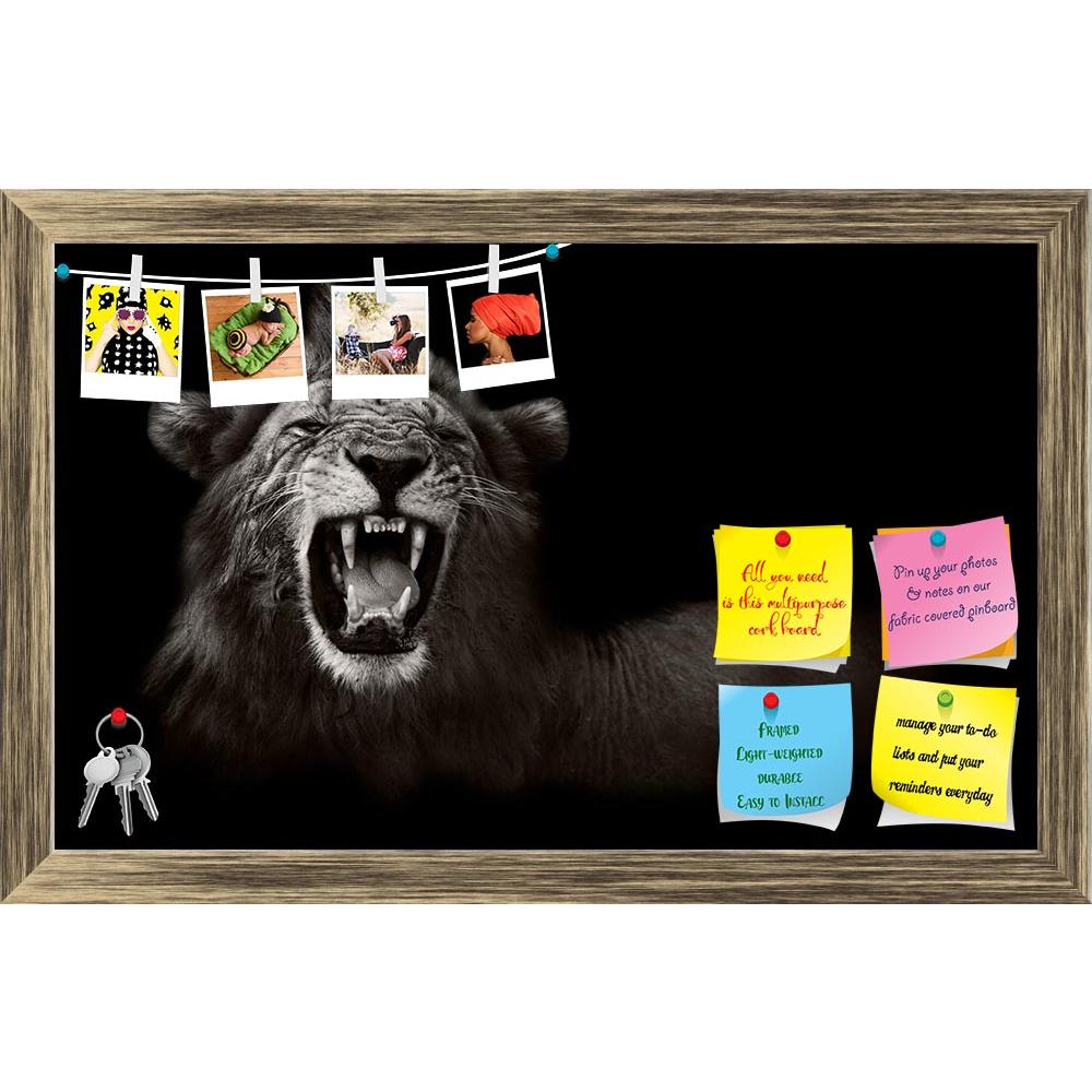 ArtzFolio Wild African Male Lion Printed Bulletin Board Notice Pin Board Soft Board | Framed-Bulletin Boards Framed-AZSAO21655853BLB_FR_L-Image Code 5002700 Vishnu Image Folio Pvt Ltd, IC 5002700, ArtzFolio, Bulletin Boards Framed, Animals, Photography, wild, african, male, lion, printed, bulletin, board, notice, pin, soft, framed, growling, showing, dangerous, teeth, pin up board, push pin board, extra large cork board, big pin board, notice board, small bulletin board, cork board, wall notice board, giant