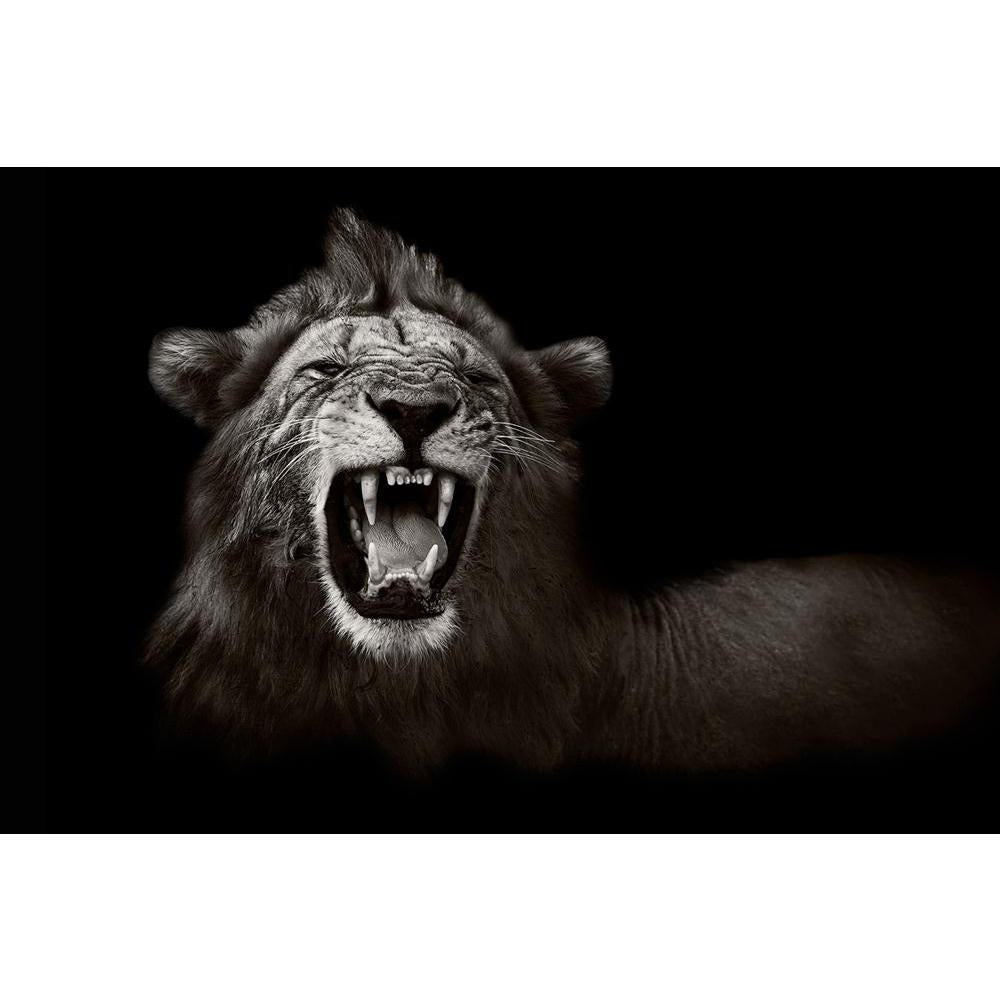 ArtzFolio Wild African Male Lion Unframed Paper Poster-Paper Posters Unframed-AZART21655853POS_UN_L-Image Code 5002700 Vishnu Image Folio Pvt Ltd, IC 5002700, ArtzFolio, Paper Posters Unframed, Animals, Photography, wild, african, male, lion, unframed, paper, poster, wall, large, size, for, living, room, home, decoration, big, framed, decor, posters, pitaara, box, modern, art, with, frame, bedroom, amazonbasics, door, drawing, small, decorative, office, reception, multiple, friends, images, reprints, reprin