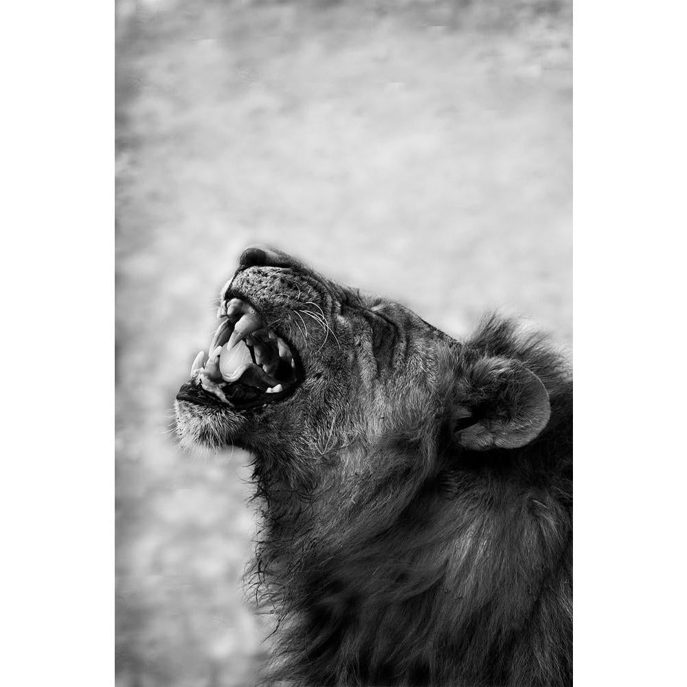 ArtzFolio Image Of Lion Displaying Teeth Unframed Paper Poster-Paper Posters Unframed-AZART21655856POS_UN_L-Image Code 5002701 Vishnu Image Folio Pvt Ltd, IC 5002701, ArtzFolio, Paper Posters Unframed, Animals, Photography, image, of, lion, displaying, teeth, unframed, paper, poster, wall, large, size, for, living, room, home, decoration, big, framed, decor, posters, pitaara, box, modern, art, with, frame, bedroom, amazonbasics, door, drawing, small, decorative, office, reception, multiple, friends, images,