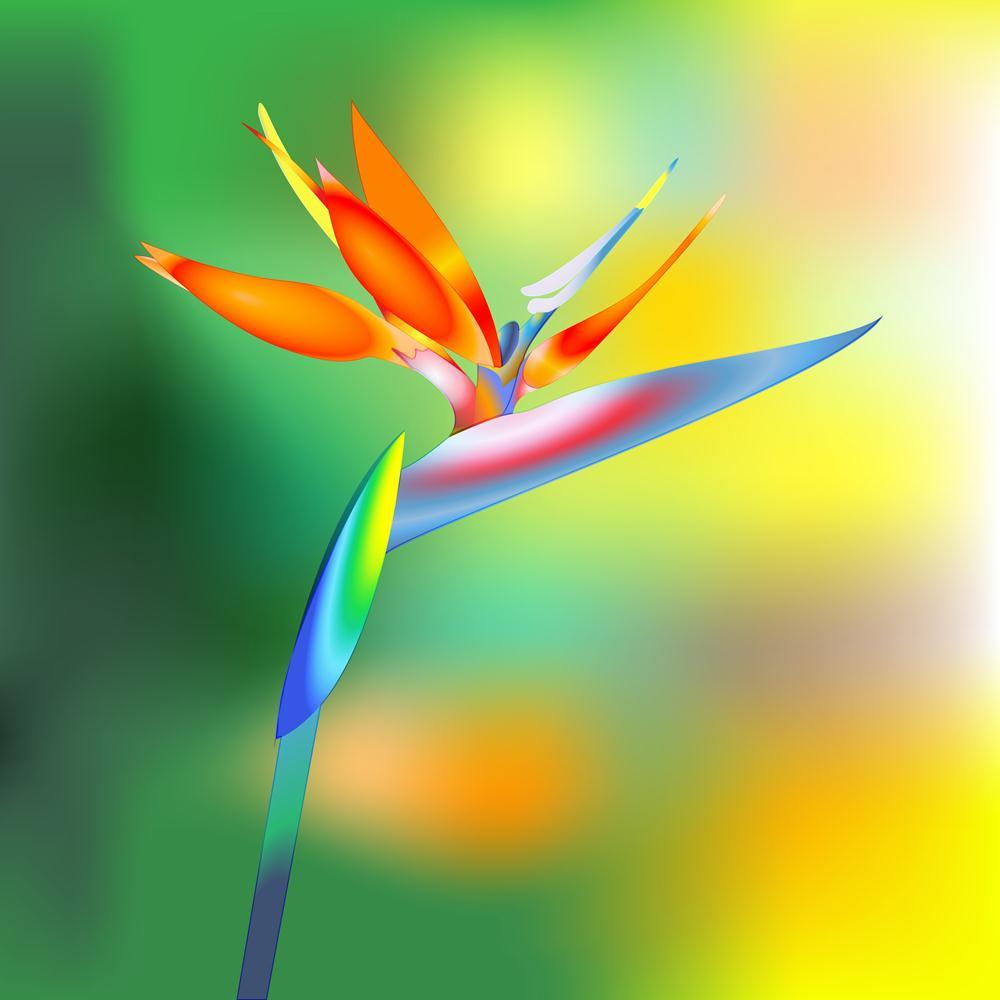 Bird Of Paradise Flower Canvas Painting Synthetic Frame-Paintings MDF Framing-AFF_FR-IC 5002709 IC 5002709, African, Art and Paintings, Birds, Botanical, Culture, Digital, Digital Art, Ethnic, Floral, Flowers, Graphic, Modern Art, Nature, Scenic, Seasons, Signs, Signs and Symbols, Traditional, Tribal, Tropical, World Culture, bird, of, paradise, flower, canvas, painting, synthetic, frame, colorful, africa, art, beautiful, bio, biology, bloom, blue, botany, branch, bright, color, creative, daisy, decorate, d