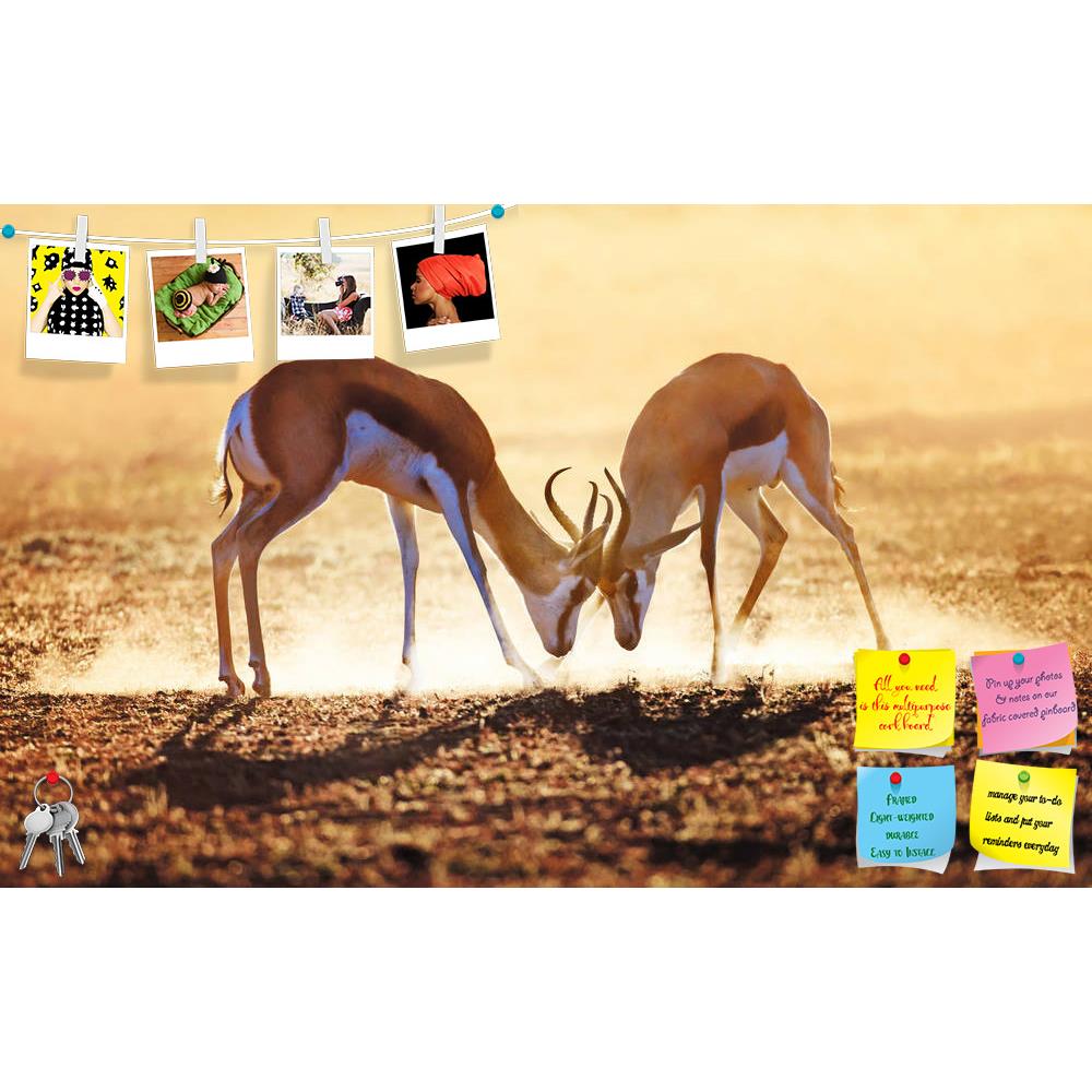 ArtzFolio Springbok Dual in Kalahari Desert, South Africa Printed Bulletin Board Notice Pin Board Soft Board | Frameless-Bulletin Boards Frameless-AZSAO21746959BLB_FL_L-Image Code 5002715 Vishnu Image Folio Pvt Ltd, IC 5002715, ArtzFolio, Bulletin Boards Frameless, Animals, Photography, springbok, dual, in, kalahari, desert, south, africa, printed, bulletin, board, notice, pin, soft, frameless, dust, pin up board, push pin board, extra large cork board, big pin board, notice board, small bulletin board, cor