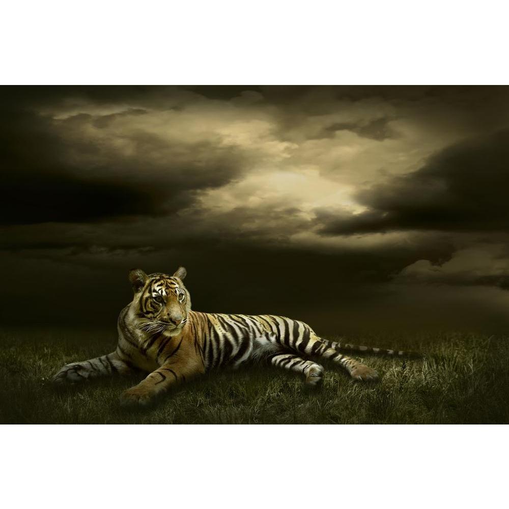 Tiger Sitting Under Dramatic Sky With Clouds Canvas Painting Synthetic Frame-Paintings MDF Framing-AFF_FR-IC 5002720 IC 5002720, African, Animals, Automobiles, Nature, Scenic, Transportation, Travel, Tropical, Vehicles, Wildlife, tiger, sitting, under, dramatic, sky, with, clouds, canvas, painting, synthetic, frame, lion, tigers, predator, lions, tigre, head, siberian, africa, aggression, alertness, animal, big, carnivore, cat, crouching, cruel, danger, endangered, face, feline, front, fur, hunter, hunting,