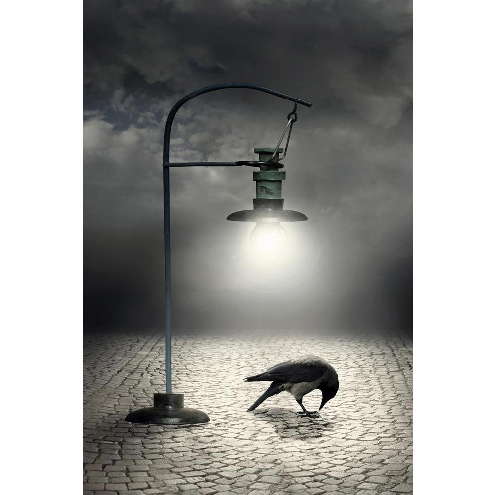 ArtzFolio Streetlight That Illuminates A Crow Unframed Paper Poster-Paper Posters Unframed-AZART21892527POS_UN_L-Image Code 5002732 Vishnu Image Folio Pvt Ltd, IC 5002732, ArtzFolio, Paper Posters Unframed, Birds, Conceptual, Kids, Digital Art, streetlight, that, illuminates, a, crow, unframed, paper, poster, wall, large, size, for, living, room, home, decoration, big, framed, decor, posters, pitaara, box, modern, art, with, frame, bedroom, amazonbasics, door, drawing, small, decorative, office, reception, 