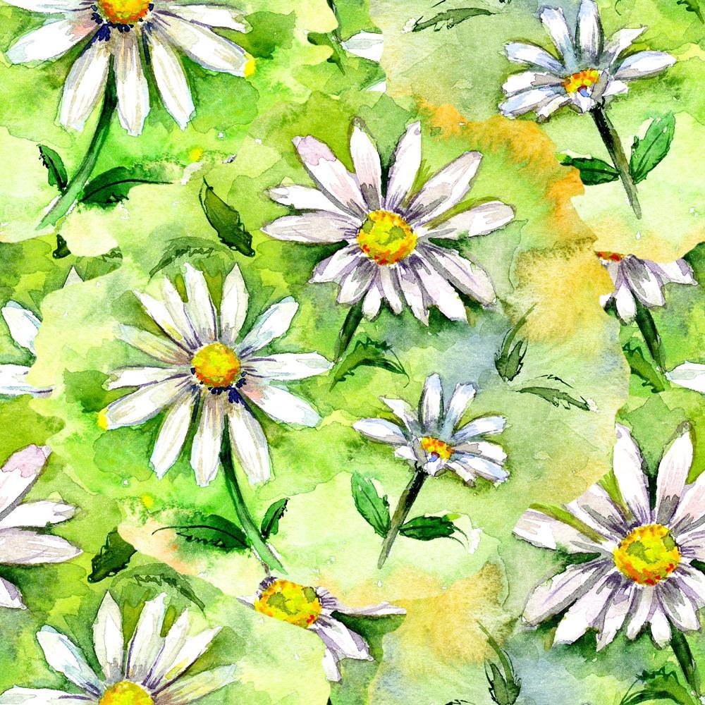 Flowers Canvas Painting Synthetic Frame-Paintings MDF Framing-AFF_FR-IC 5002771 IC 5002771, Abstract Expressionism, Abstracts, Ancient, Art and Paintings, Black and White, Botanical, Decorative, Digital, Digital Art, Drawing, Floral, Flowers, Graphic, Historical, Illustrations, Medieval, Nature, Paintings, Patterns, Retro, Scenic, Semi Abstract, Signs, Signs and Symbols, Vintage, Watercolour, White, canvas, painting, synthetic, frame, abstract, art, backdrop, background, beautiful, beauty, bloom, blooming, 