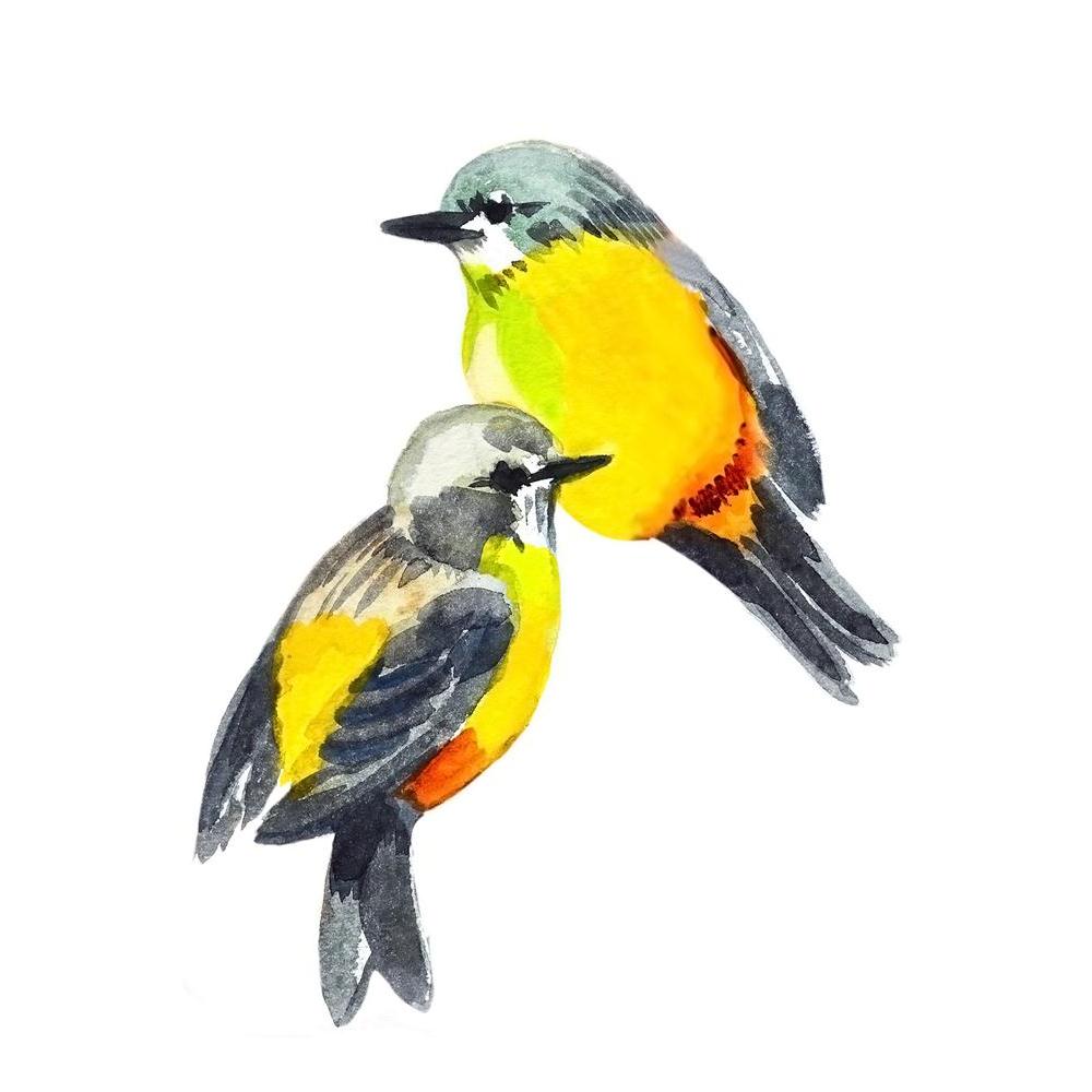 ArtzFolio Cute Bird D2 Unframed Paper Poster-Paper Posters Unframed-AZART22139233POS_UN_L-Image Code 5002772 Vishnu Image Folio Pvt Ltd, IC 5002772, ArtzFolio, Paper Posters Unframed, Birds, Fine Art Reprint, cute, bird, d2, unframed, paper, poster, wall, large, size, for, living, room, home, decoration, big, framed, decor, posters, pitaara, box, modern, art, with, frame, bedroom, amazonbasics, door, drawing, small, decorative, office, reception, multiple, friends, images, reprints, reprint, kids, bathroom,