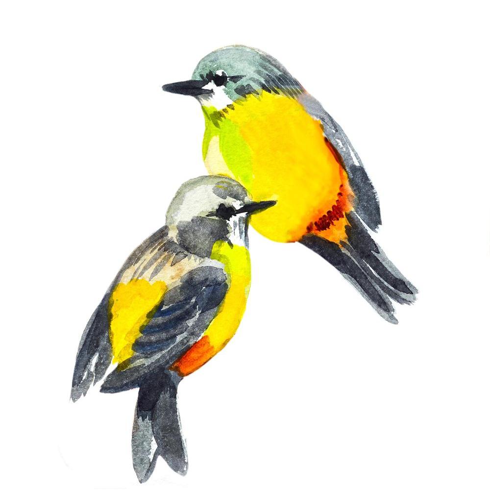 Pitaara Box Cute Bird D2 Unframed Canvas Painting-Paintings Unframed Regular-PBART22139233AFF_UN_L-Image Code 5002772 Vishnu Image Folio Pvt Ltd, IC 5002772, Pitaara Box, Paintings Unframed Regular, Birds, Fine Art Reprint, cute, bird, d2, unframed, canvas, painting, watercolor, drawing, large size canvas print, wall painting for living room without frame, decorative wall painting, artzfolio, large poster, unframed canvas painting, wall painting without frame, wall art for living room, canvas wall painting,