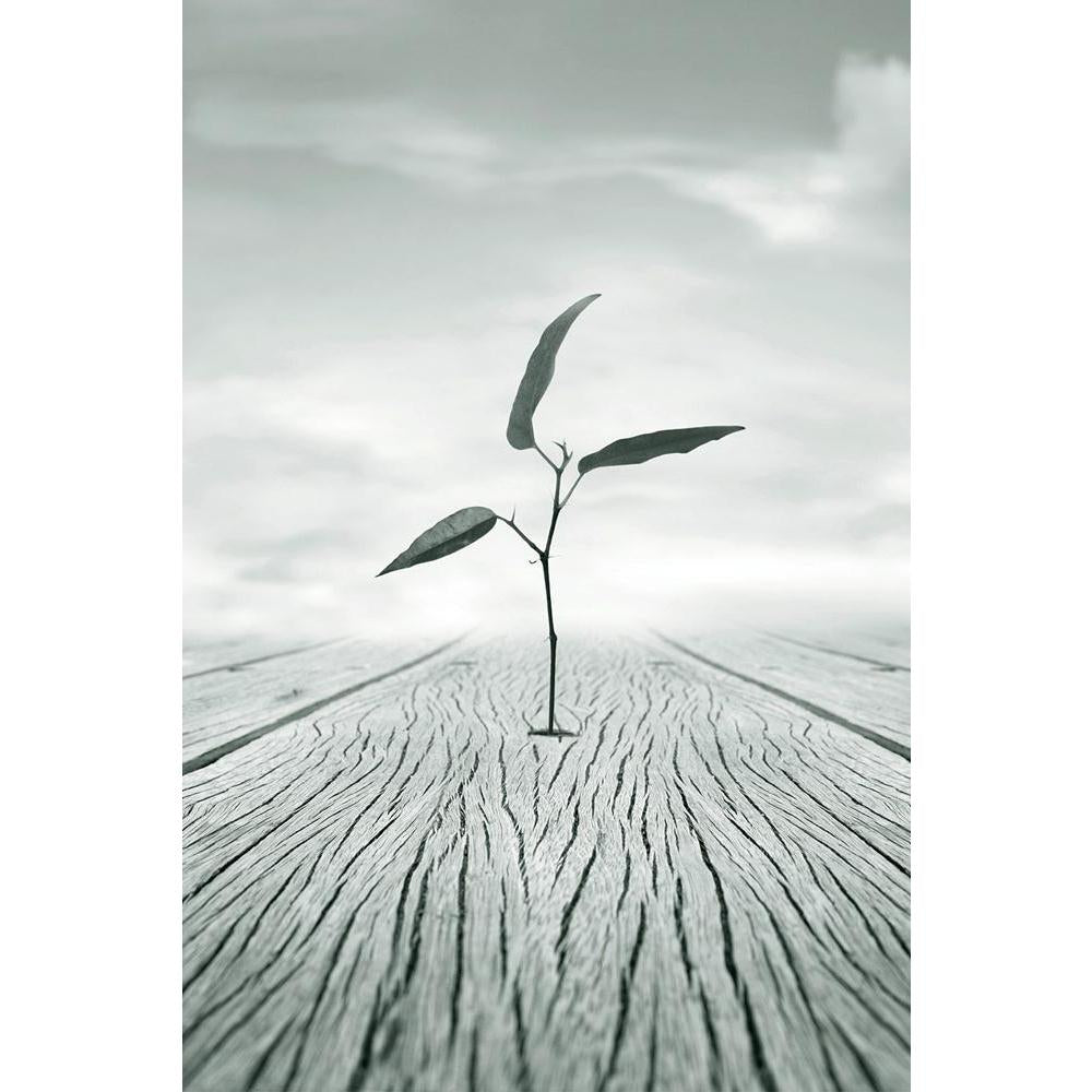 ArtzFolio Poetic Image Of A Little Branch With Leaves Unframed Paper Poster-Paper Posters Unframed-AZART22837271POS_UN_L-Image Code 5002824 Vishnu Image Folio Pvt Ltd, IC 5002824, ArtzFolio, Paper Posters Unframed, Conceptual, Digital Art, poetic, image, of, a, little, branch, with, leaves, unframed, paper, poster, wall, large, size, for, living, room, home, decoration, big, framed, decor, posters, pitaara, box, modern, art, frame, bedroom, amazonbasics, door, drawing, small, decorative, office, reception, 