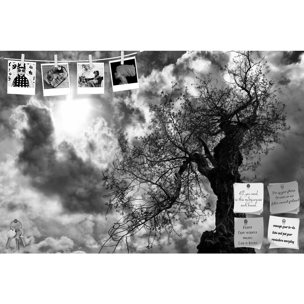 ArtzFolio Cottonwood Tree With Storm Clouds Printed Bulletin Board Notice Pin Board Soft Board | Frameless-Bulletin Boards Frameless-AZSAO22928481BLB_FL_L-Image Code 5002846 Vishnu Image Folio Pvt Ltd, IC 5002846, ArtzFolio, Bulletin Boards Frameless, Landscapes, Photography, cottonwood, tree, with, storm, clouds, printed, bulletin, board, notice, pin, soft, frameless, ancient, gnarled, sun, dramatic, black, white, bark, and, forest, groovy, narled, monochrome, nature, old, sky, sunburst, pin up board, push