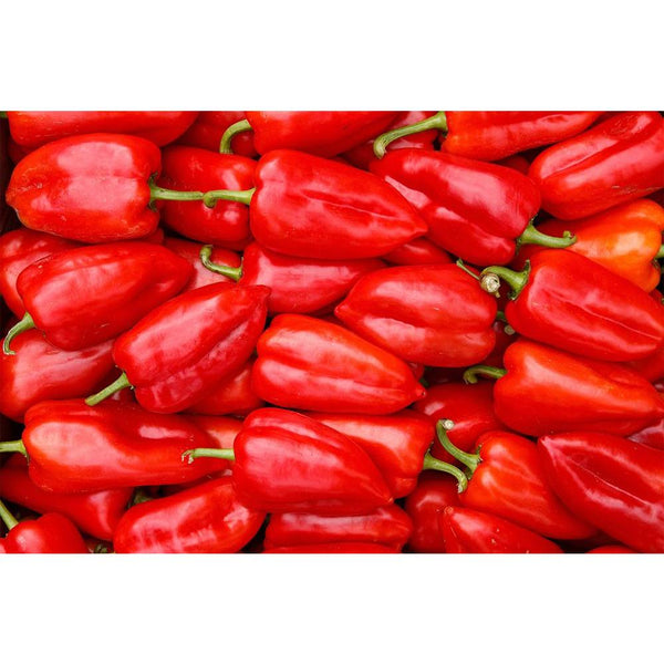 Photo of Red Sweet Pepper Unframed Paper Poster-Paper Posters Unframed-POS_UN-IC 5002880 IC 5002880, Cuisine, Culture, Dance, Ethnic, Food, Food and Beverage, Food and Drink, Fruit and Vegetable, Fruits, Music and Dance, Nature, People, Scenic, Still Life, Traditional, Tribal, Vegetables, World Culture, photo, of, red, sweet, pepper, unframed, paper, wall, poster, abundance, agricultural, appetizing, autumn, backdrop, background, capsicum, closeup, dieting, eat, foodstuff, fruit, harvest, time, healthy, eat