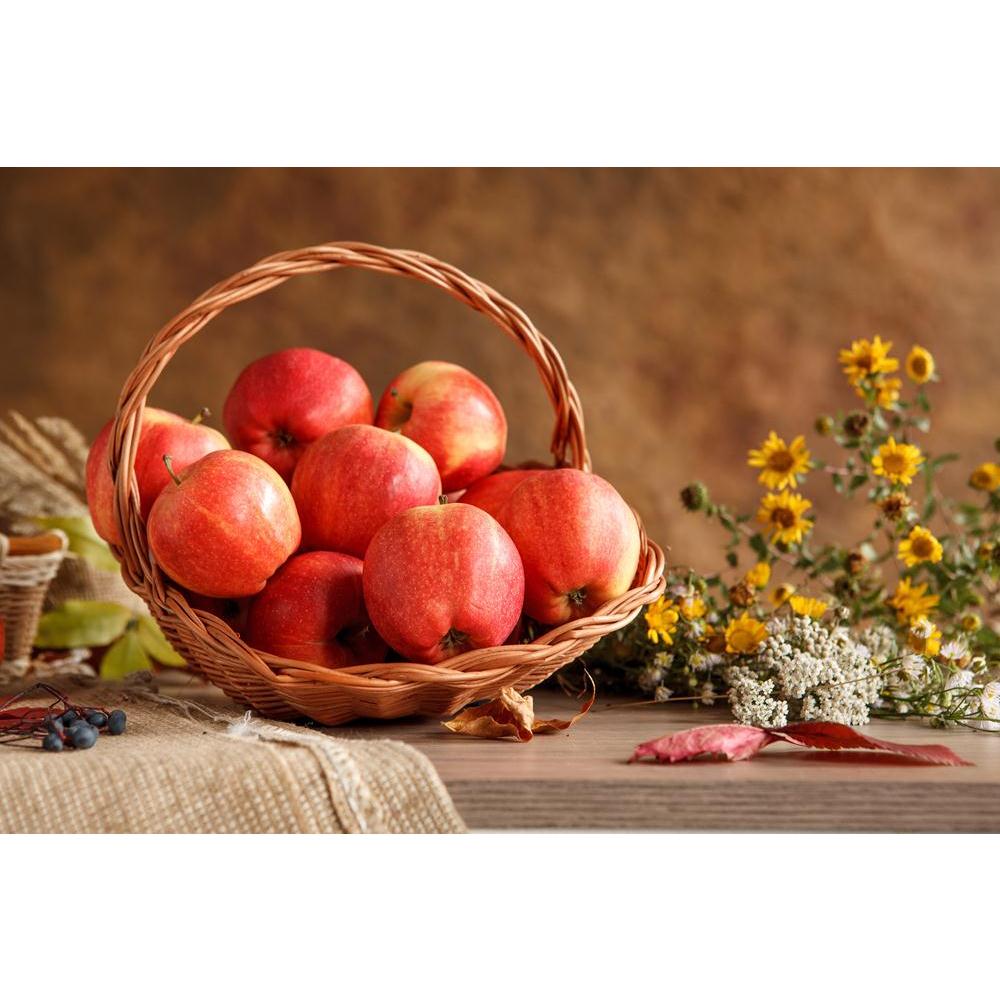 Photo of Apples In A Wicker Basket Canvas Painting Synthetic Frame-Paintings MDF Framing-AFF_FR-IC 5002882 IC 5002882, Botanical, Cuisine, Floral, Flowers, Food, Food and Beverage, Food and Drink, Fruit and Vegetable, Fruits, Nature, Rural, Scenic, Seasons, Still Life, photo, of, apples, in, a, wicker, basket, canvas, painting, synthetic, frame, appetizing, apple, beautiful, beauty, bio, bouquet, bunch, closeup, countryside, dieting, eat, farm, farming, foodstuff, fruit, gardening, harvest, time, healthy, e