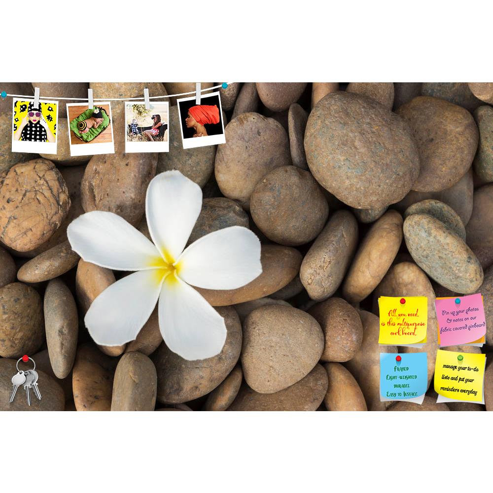ArtzFolio Frangipani Printed Bulletin Board Notice Pin Board Soft Board | Frameless-Bulletin Boards Frameless-AZSAO23175564BLB_FL_L-Image Code 5002888 Vishnu Image Folio Pvt Ltd, IC 5002888, ArtzFolio, Bulletin Boards Frameless, Floral, Photography, frangipani, printed, bulletin, board, notice, pin, soft, frameless, white, rock, ancient, apacheta, background, balance, beauty, buddhism, calm, chedi, close, close-up, concept, decoration, details, eastern, exotic, farm, flower, garden, group, health, japanese,