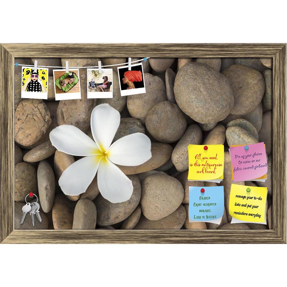 ArtzFolio Frangipani Printed Bulletin Board Notice Pin Board Soft Board | Framed-Bulletin Boards Framed-AZSAO23175564BLB_FR_L-Image Code 5002888 Vishnu Image Folio Pvt Ltd, IC 5002888, ArtzFolio, Bulletin Boards Framed, Floral, Photography, frangipani, printed, bulletin, board, notice, pin, soft, framed, white, rock, ancient, apacheta, background, balance, beauty, buddhism, calm, chedi, close, close-up, concept, decoration, details, eastern, exotic, farm, flower, garden, group, health, japanese, life, macro