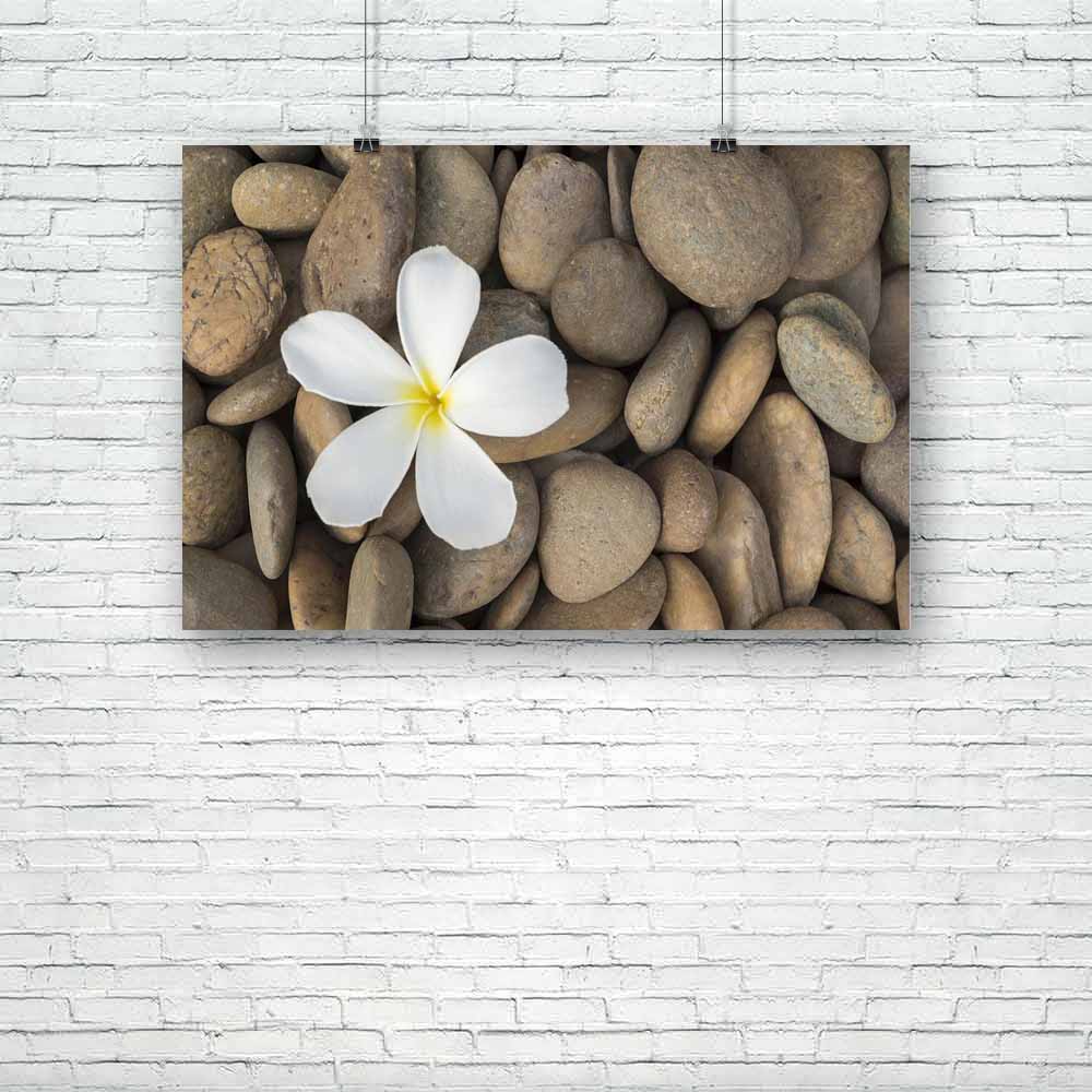 Frangipani Unframed Paper Poster-Paper Posters Unframed-POS_UN-IC 5002888 IC 5002888, Ancient, Black and White, Botanical, Buddhism, Cities, City Views, Culture, Ethnic, Floral, Flowers, Health, Historical, Japanese, Marble and Stone, Medieval, Nature, Scenic, Signs and Symbols, Spiritual, Symbols, Traditional, Tribal, Tropical, Vintage, White, World Culture, frangipani, unframed, paper, poster, background, balance, beauty, calm, close, up, concept, decoration, details, eastern, exotic, farm, flower, garden